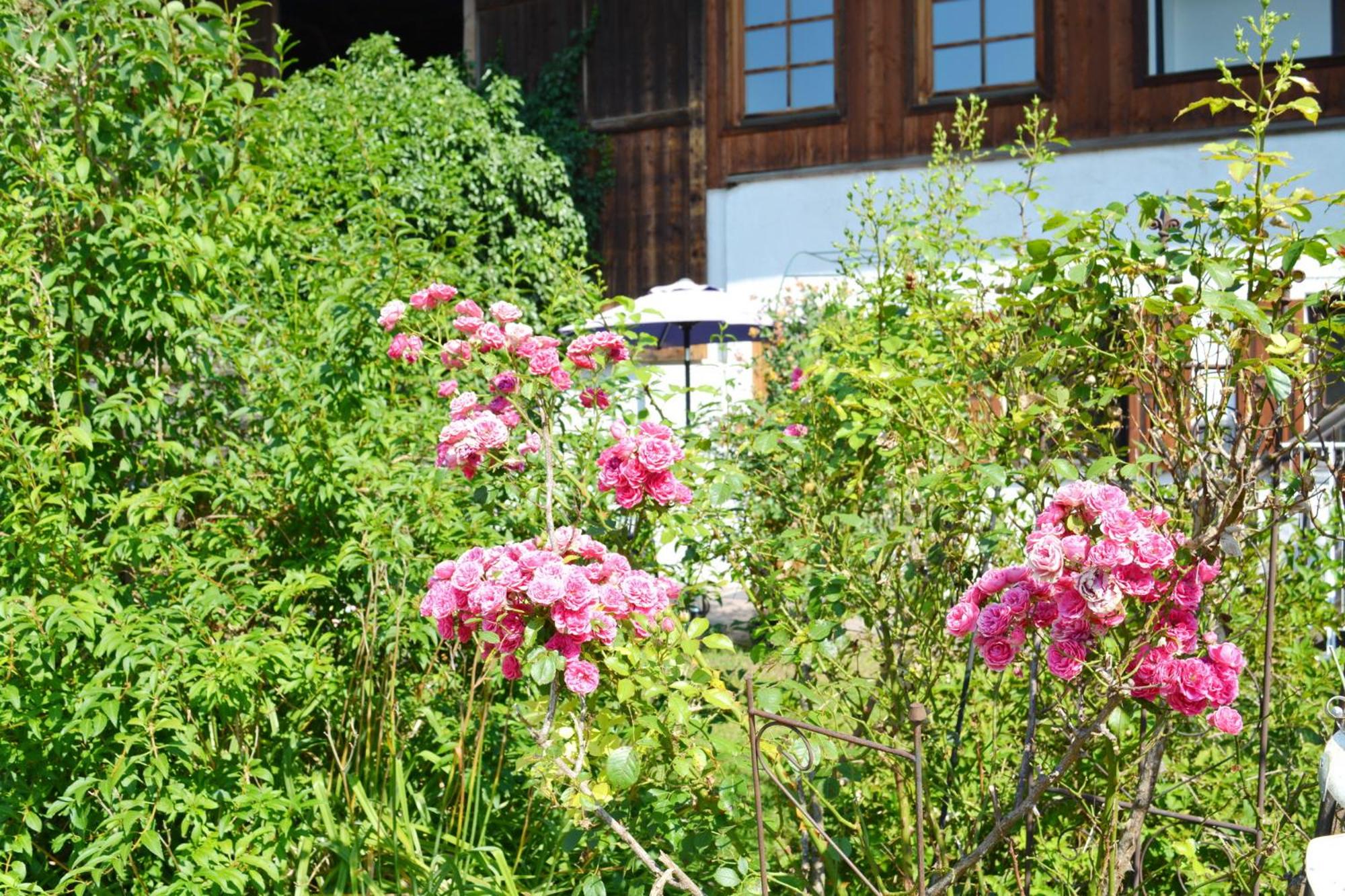 Möderlhof