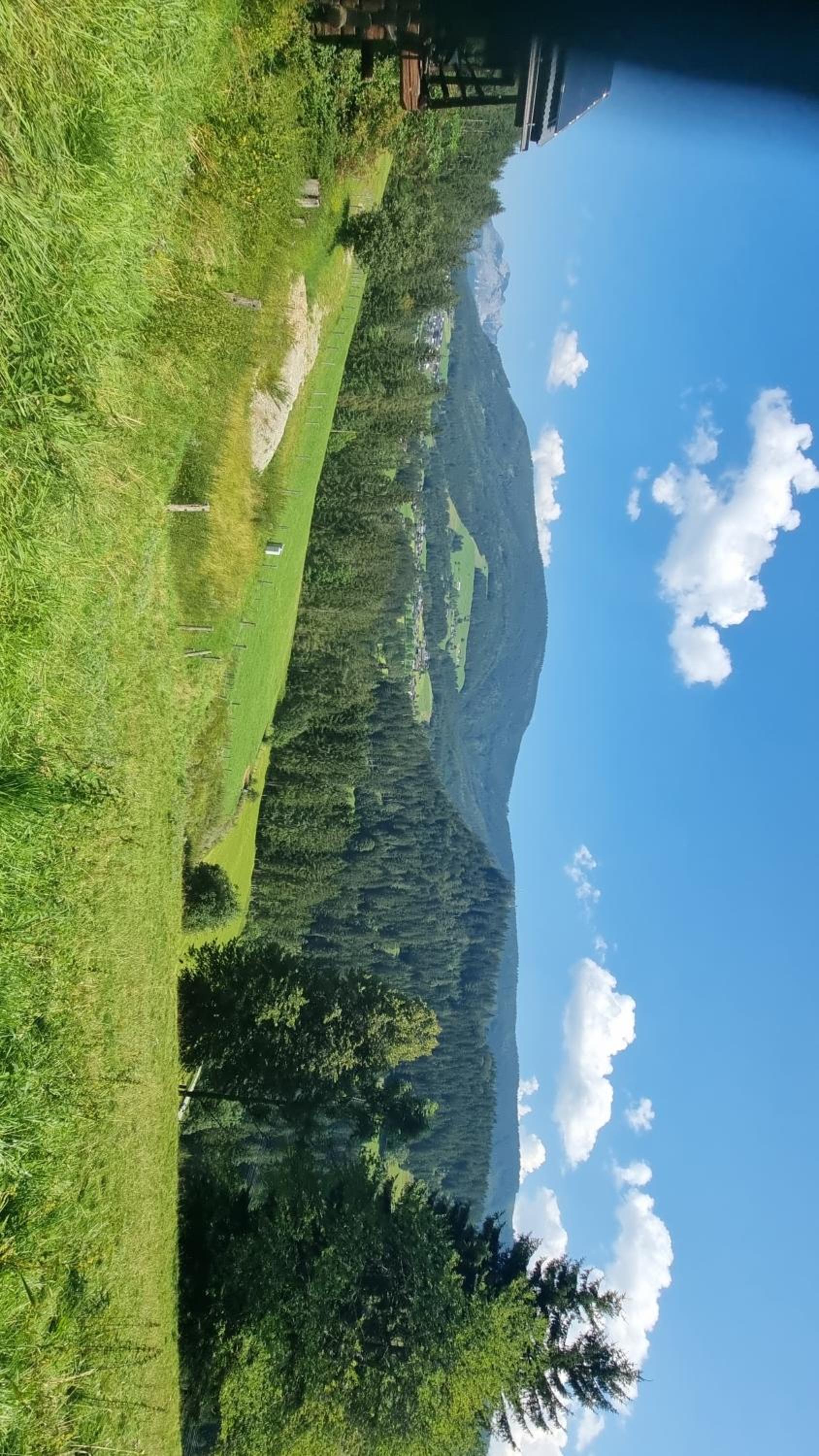 Buttermilchalm