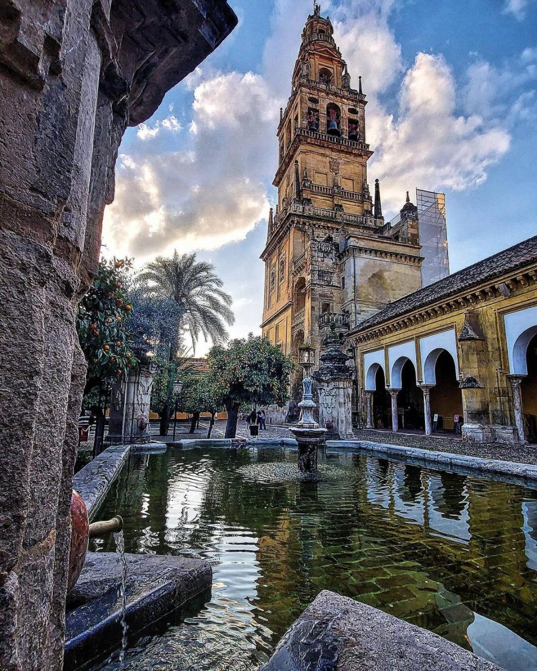 Apto Córdoba FAMORCAS