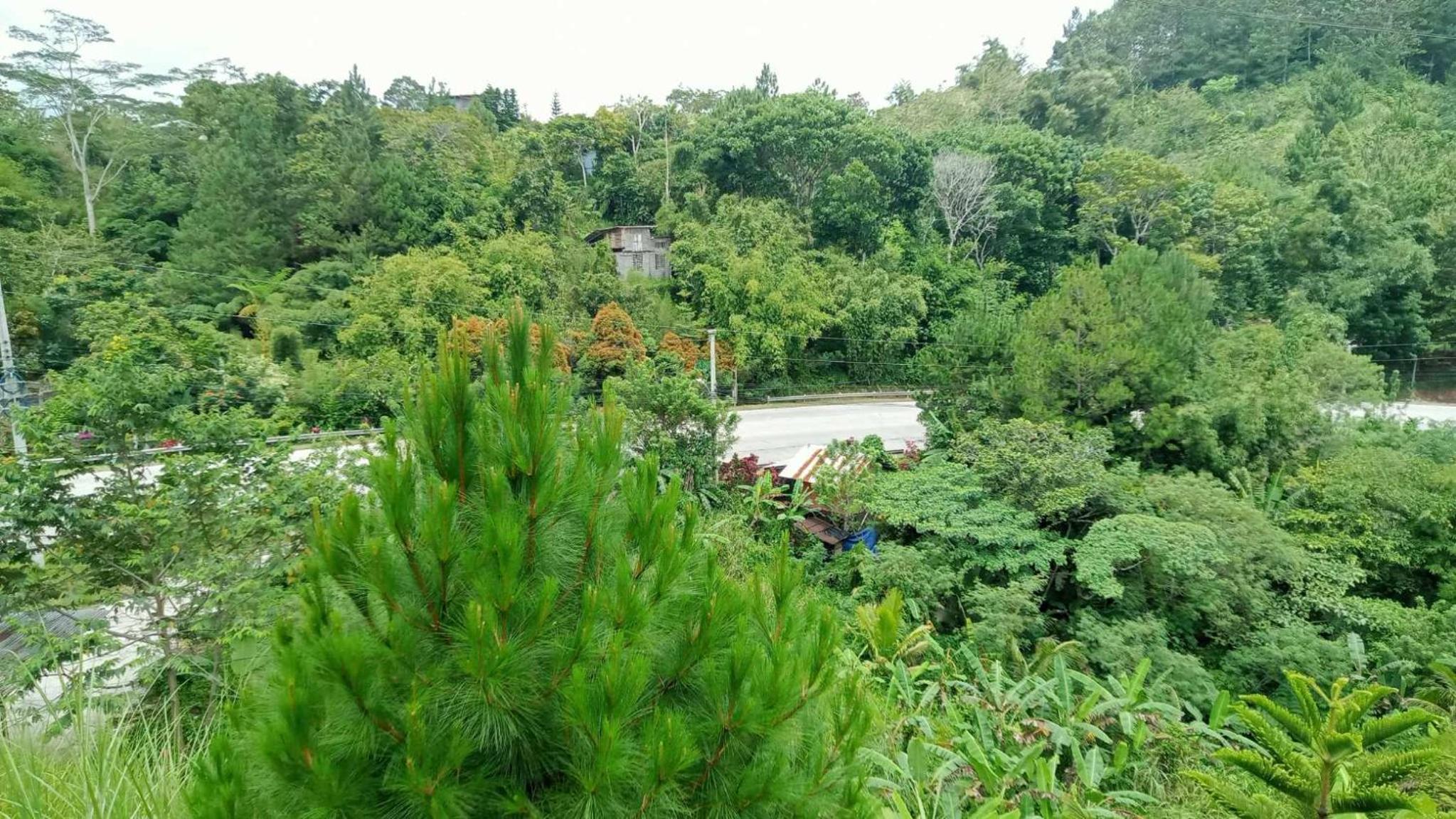 SAKURAGUMI P99 Ramen & Guest House view 5
