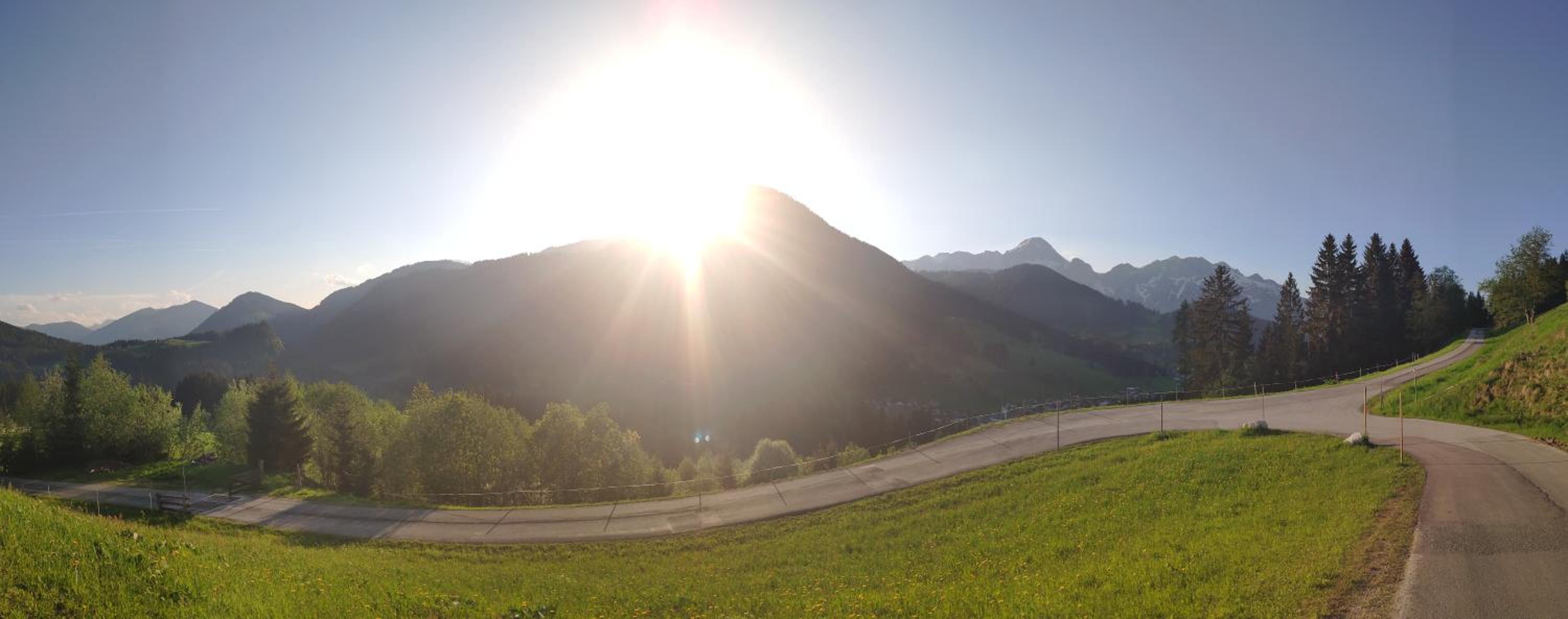 Buttermilchalm