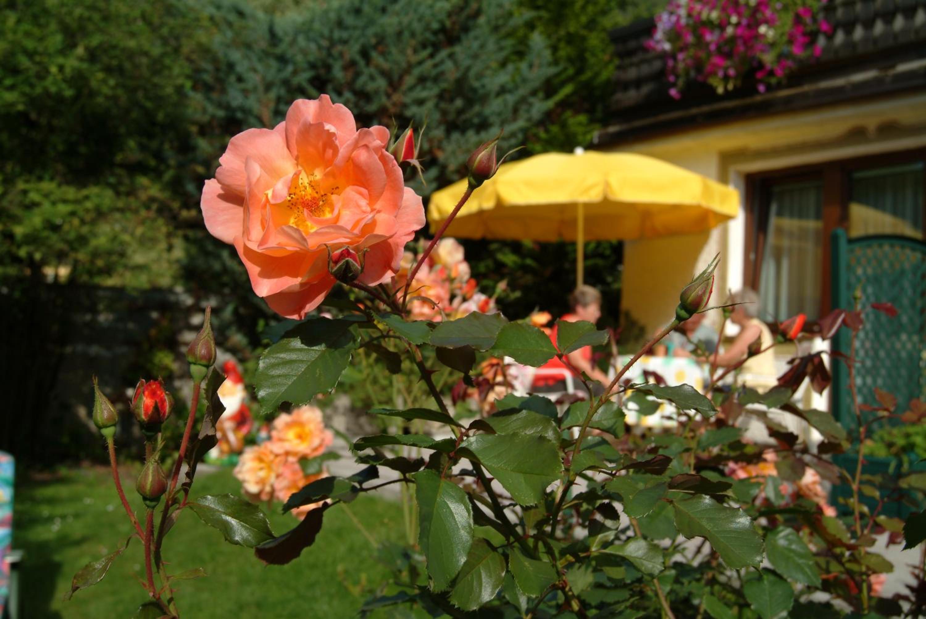 Pension Maria
