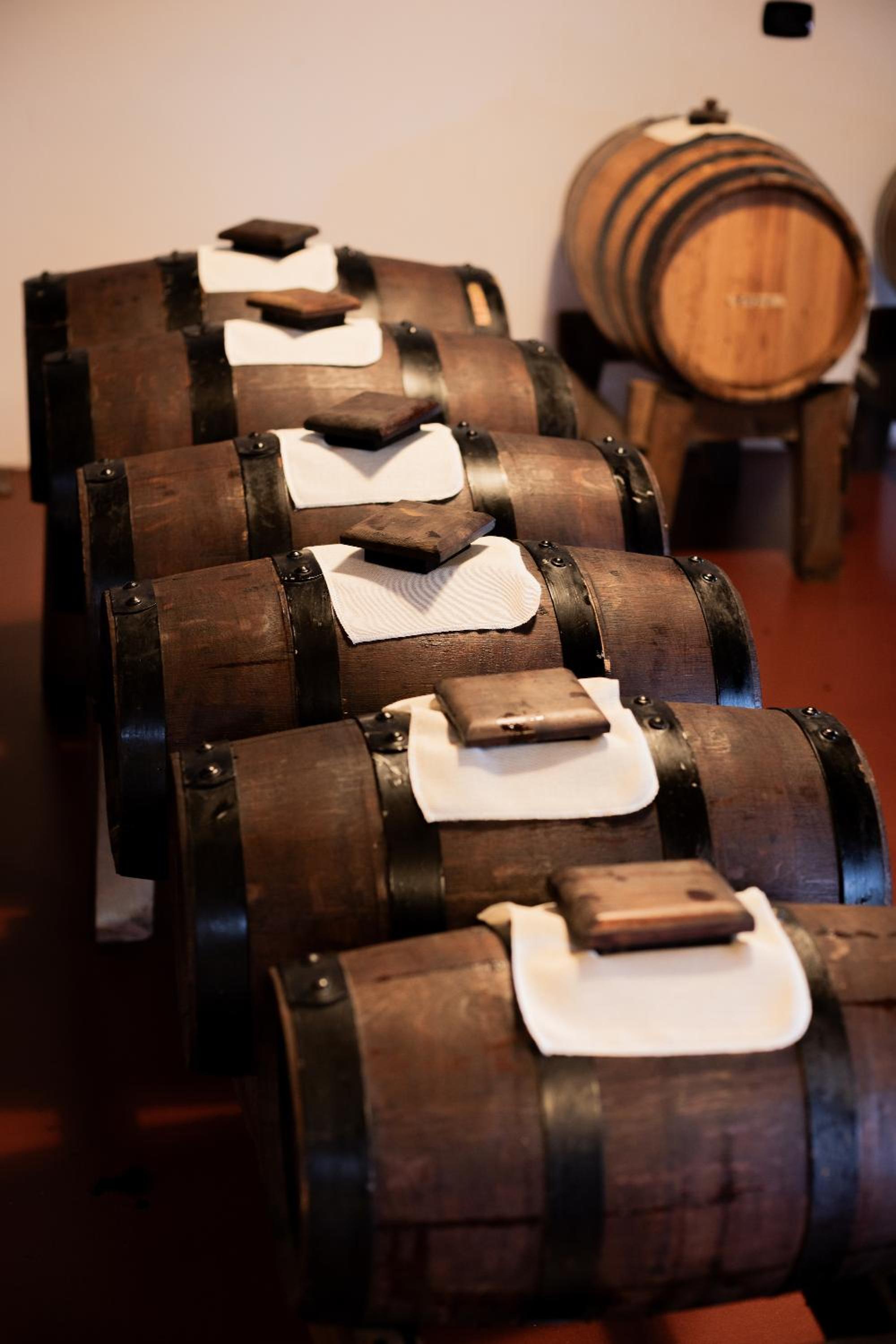 LA CASCINA DEL BALSAMICO b&b