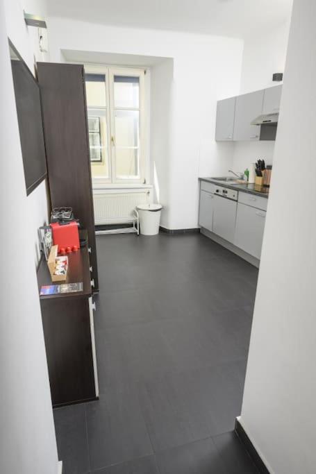Charming apartment in Center Vienna