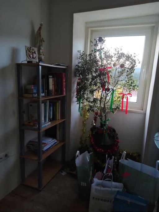 Photo 48