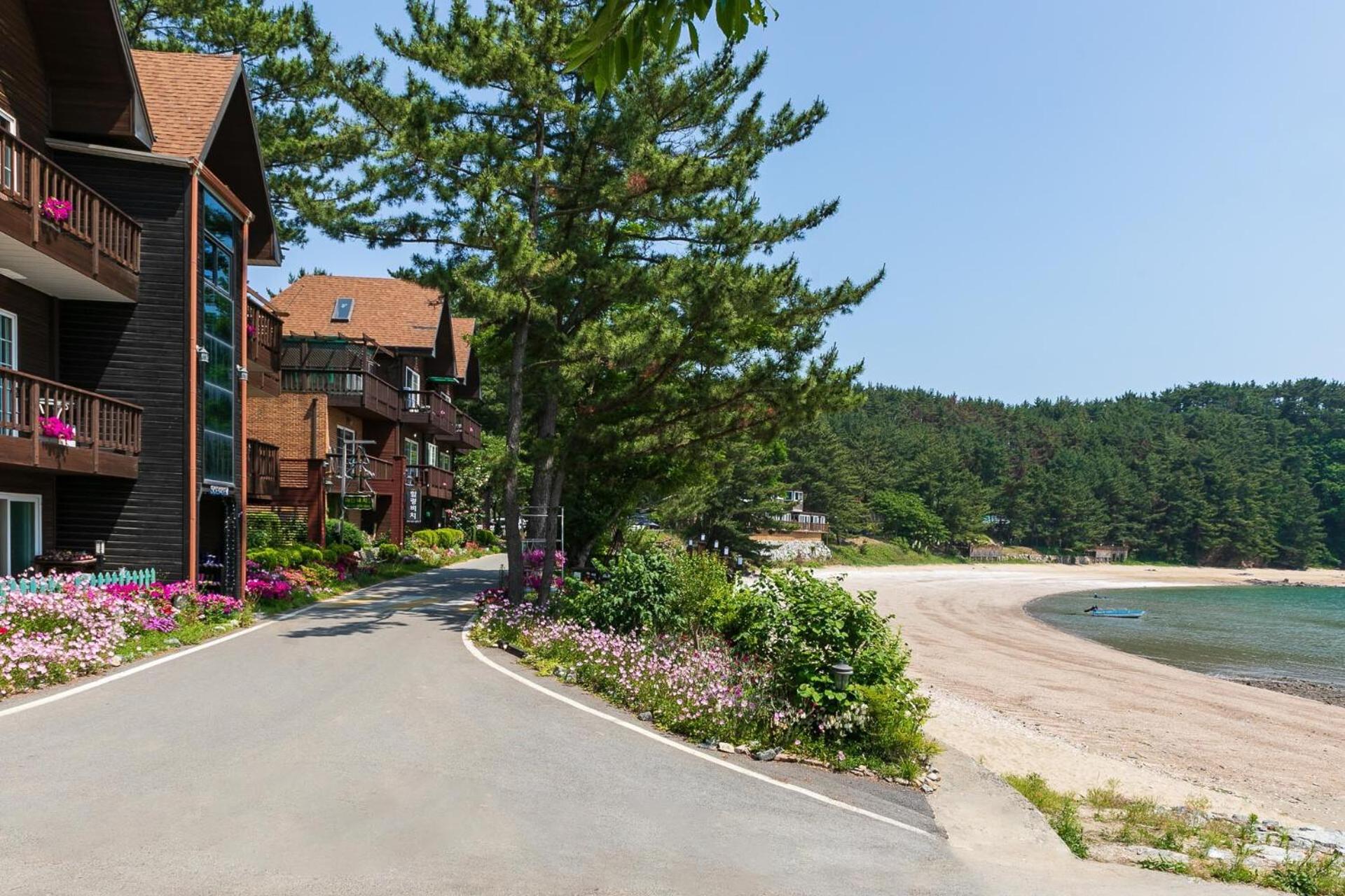 Healing beach pension