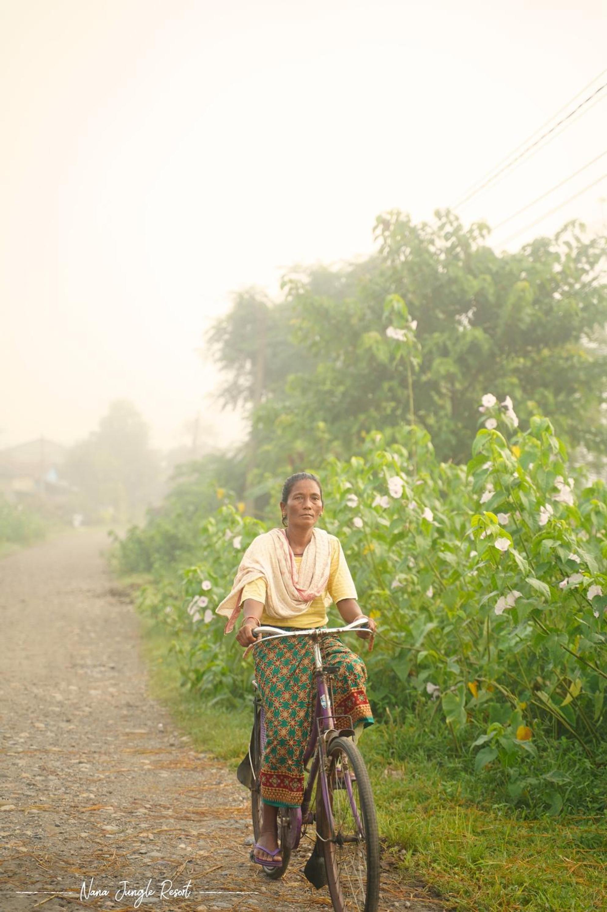 Nana Jungle Resort Near Chitwan National Park