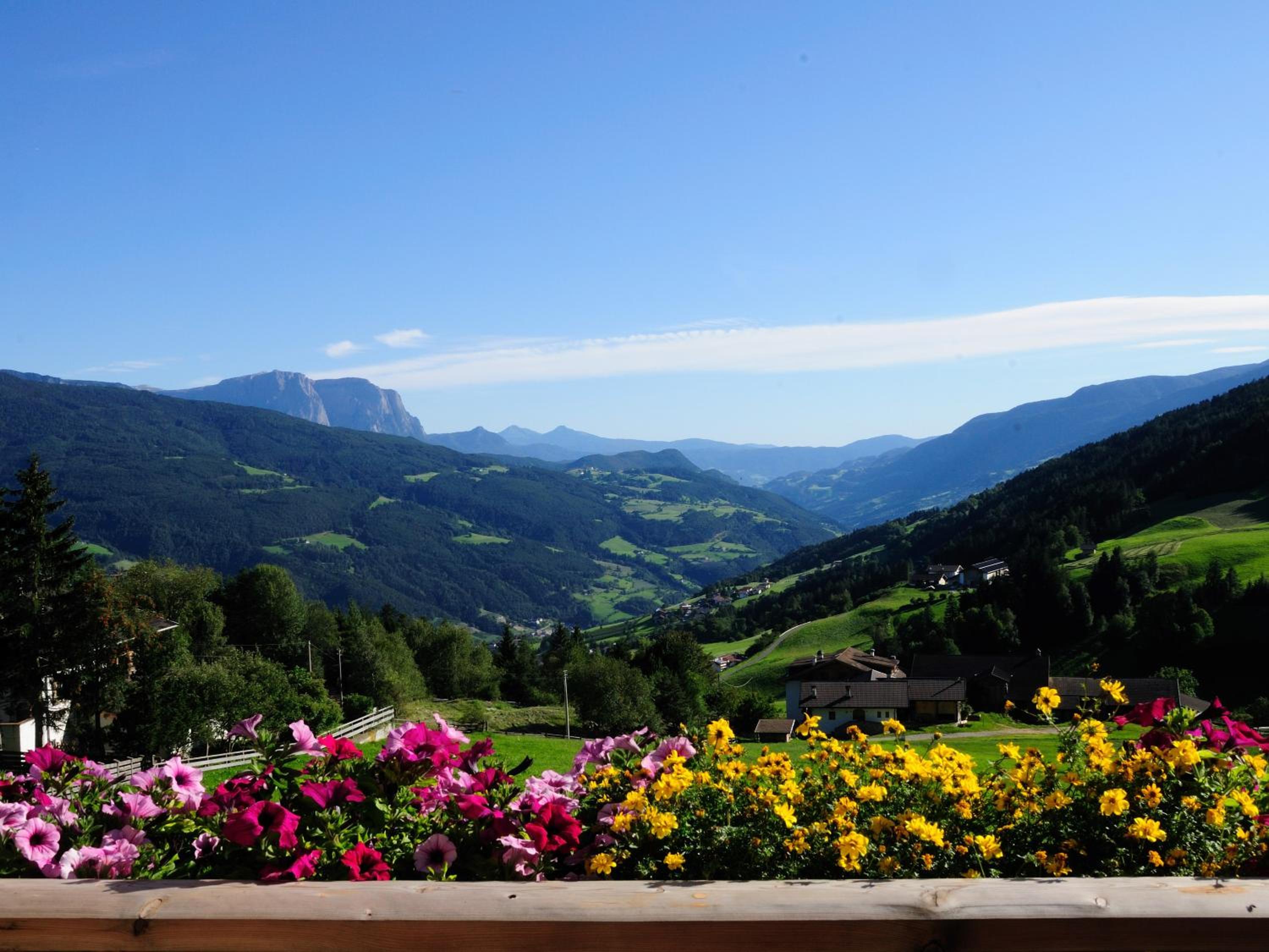 Steierhof Apt Bergzauber view 3