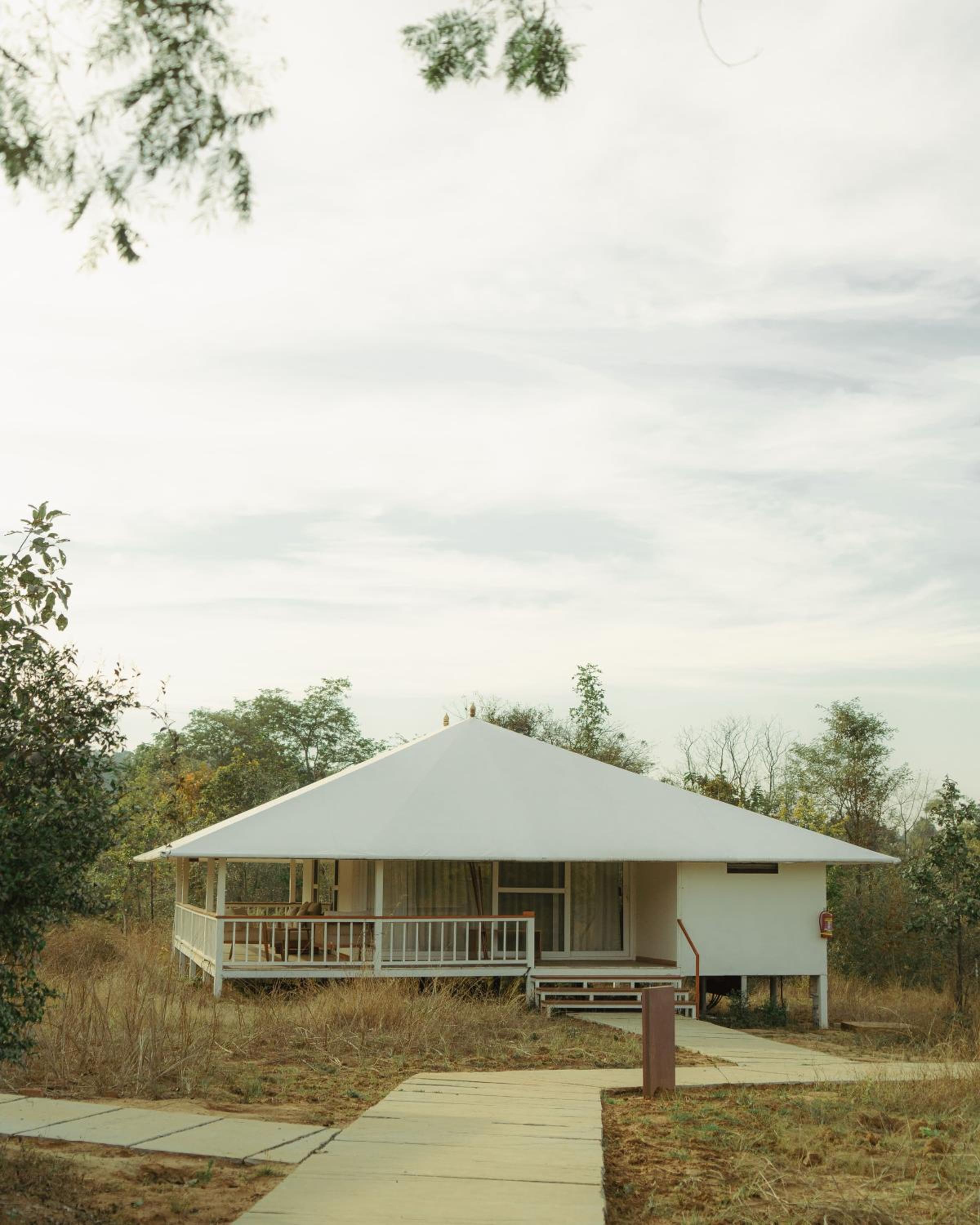 Tree of Life Ramvilas, Bandhavgarh view 3