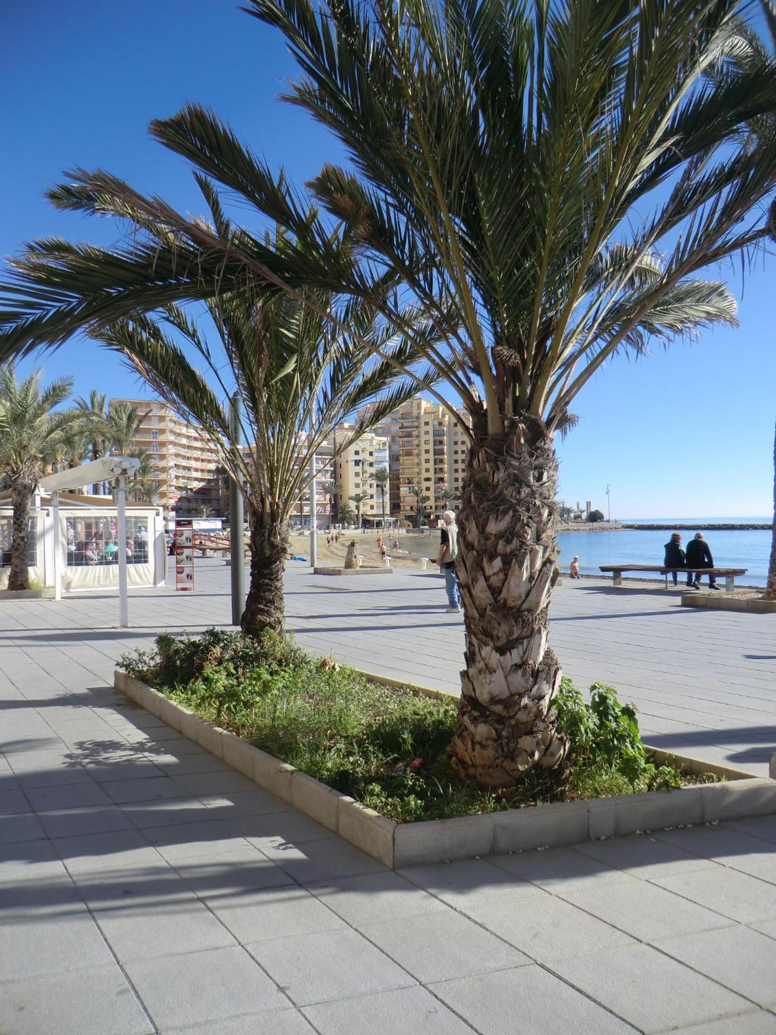 Casas Holiday - Playa del Cura view 3