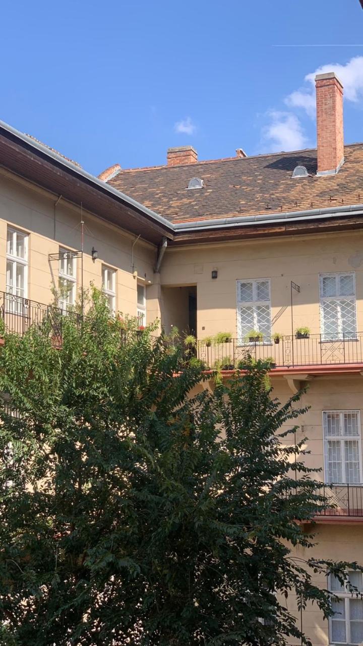 Euro buda house