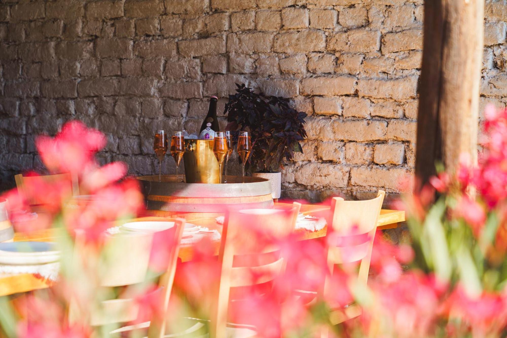 Guest House 