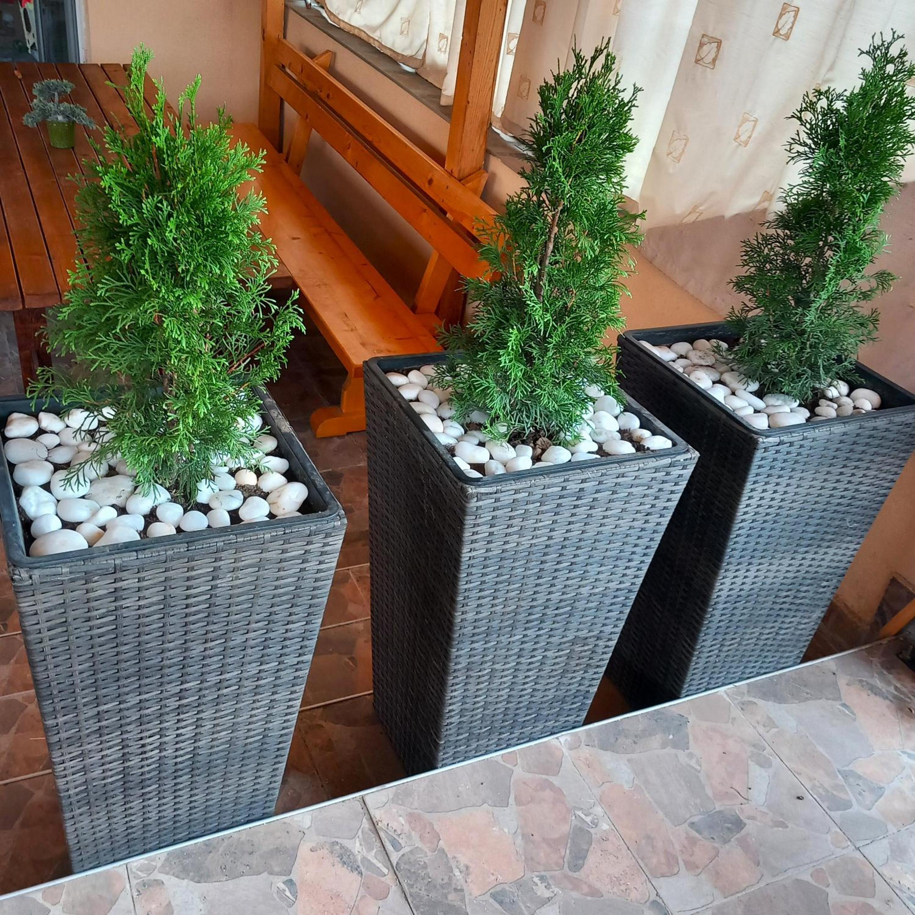 ViBo Guesthouse