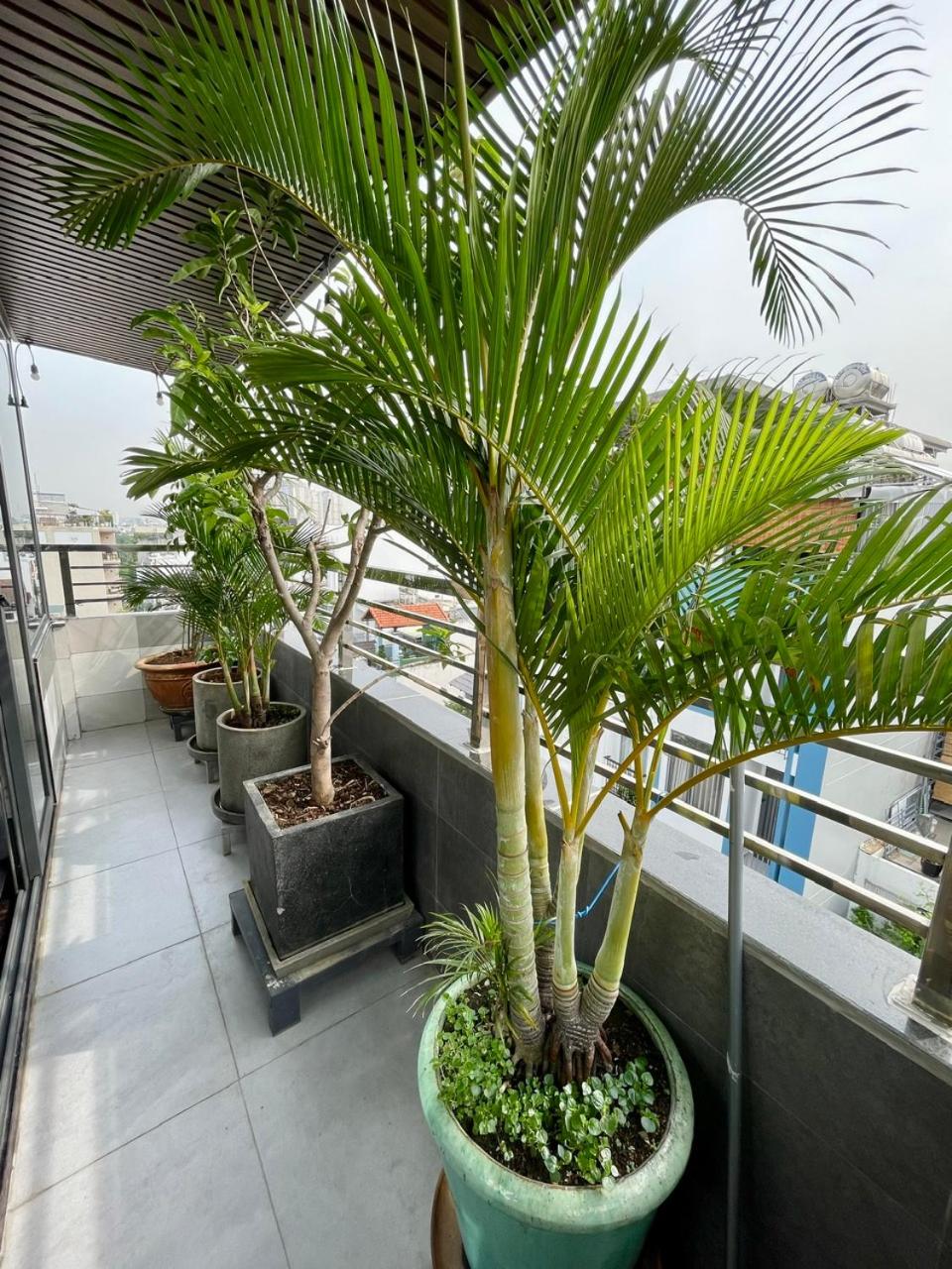 Uncle Anh Serviced Apartments