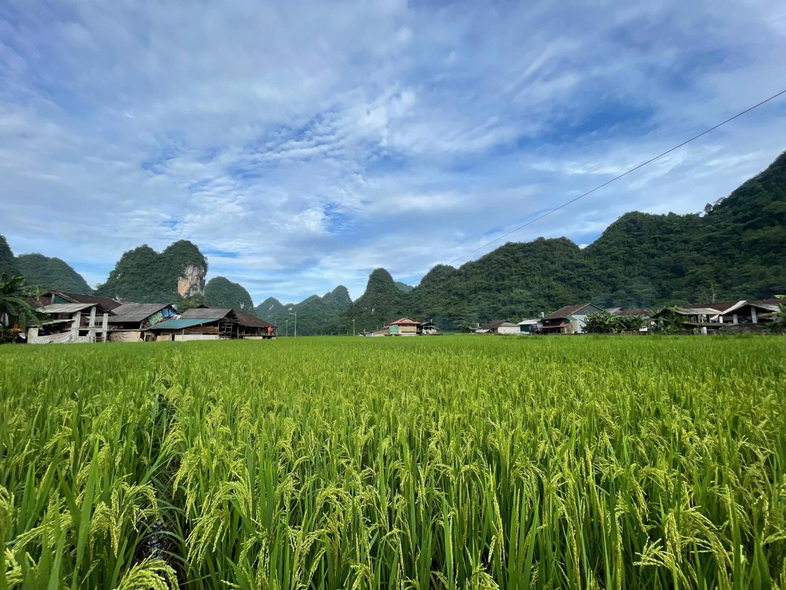 Nùng An homestay-Nùng ethnic group view 3