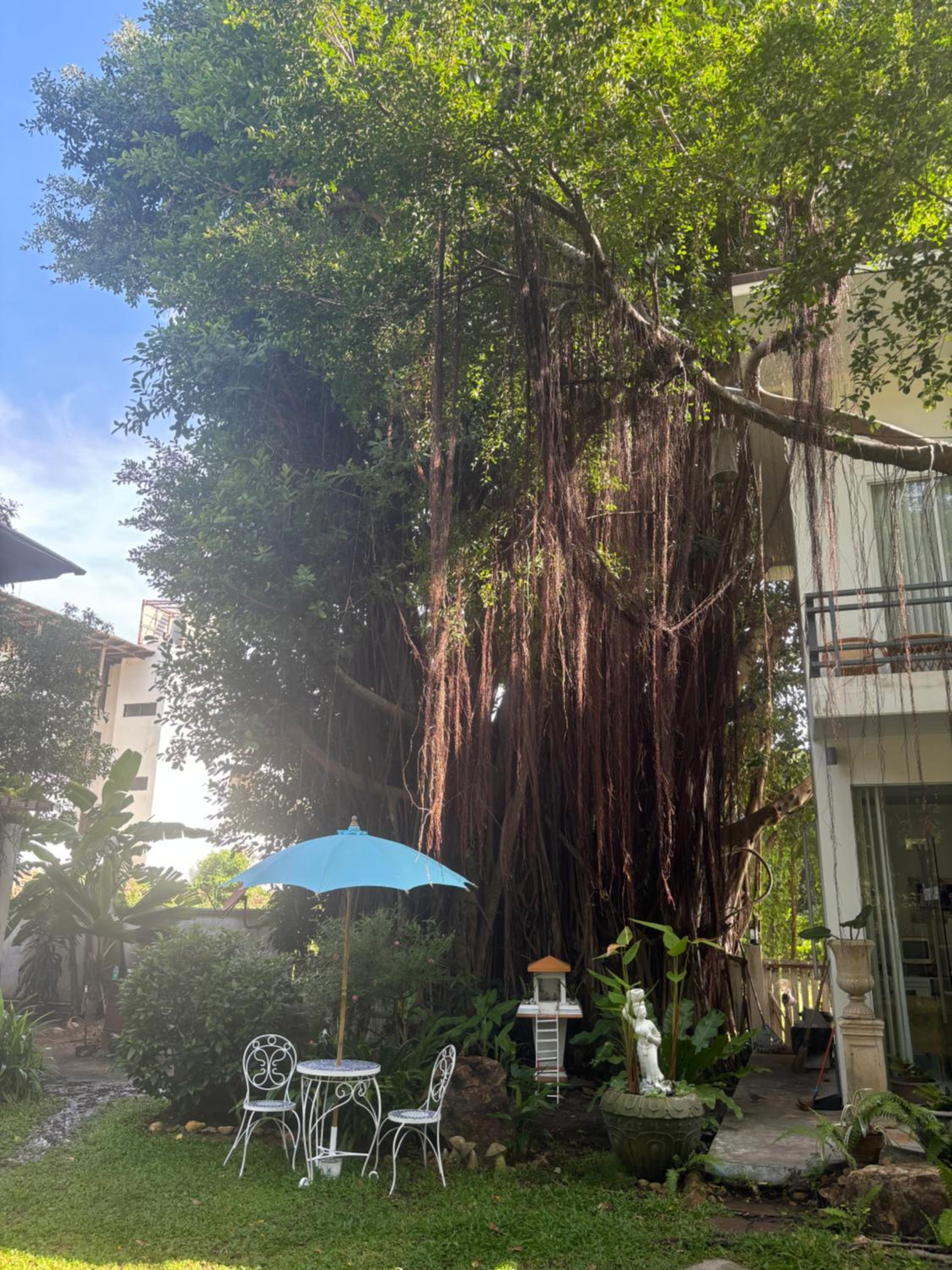 Banyan House Samui bed and breakfast (Adult Only), Chaweng - 21