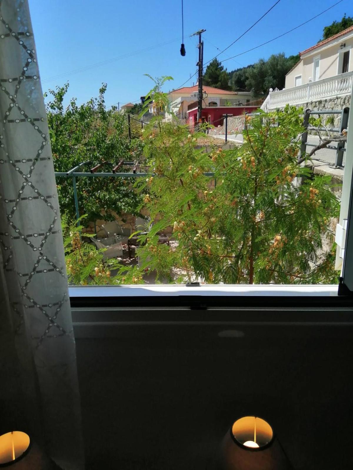Photo 44