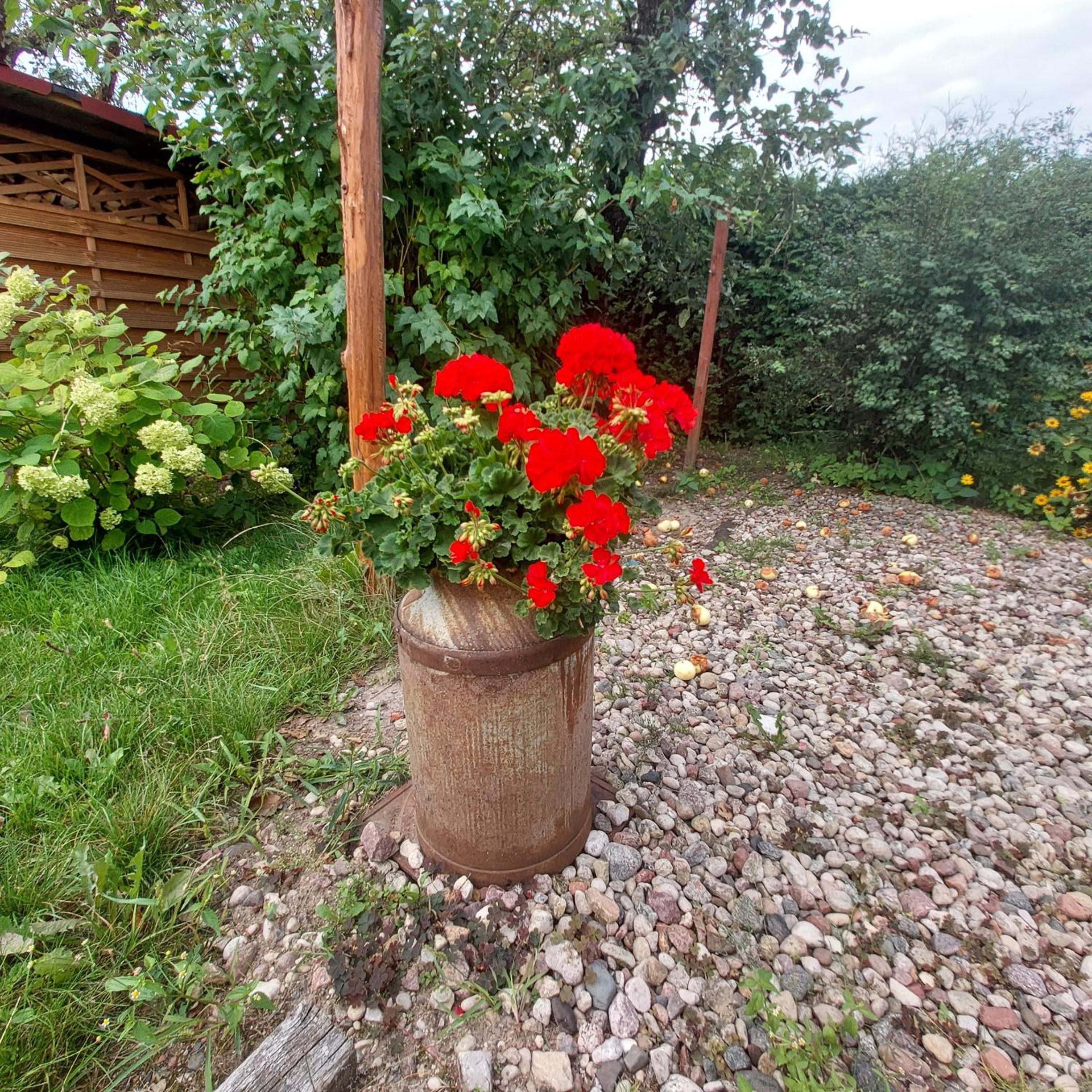 Photo 35