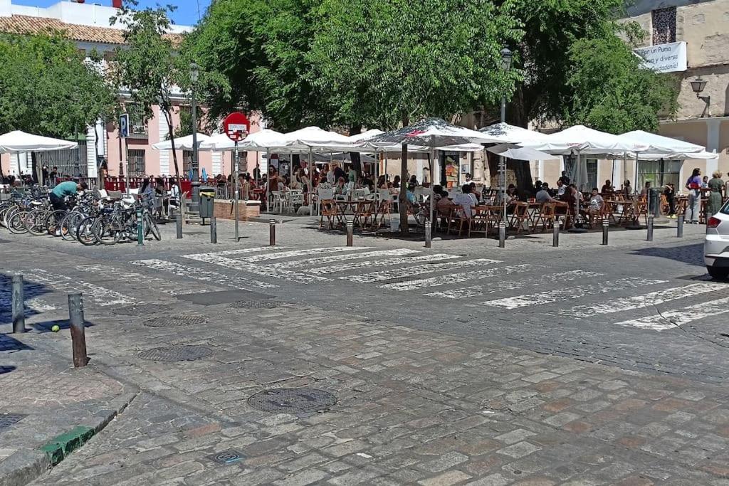 Centro Histórico Zona San Luis