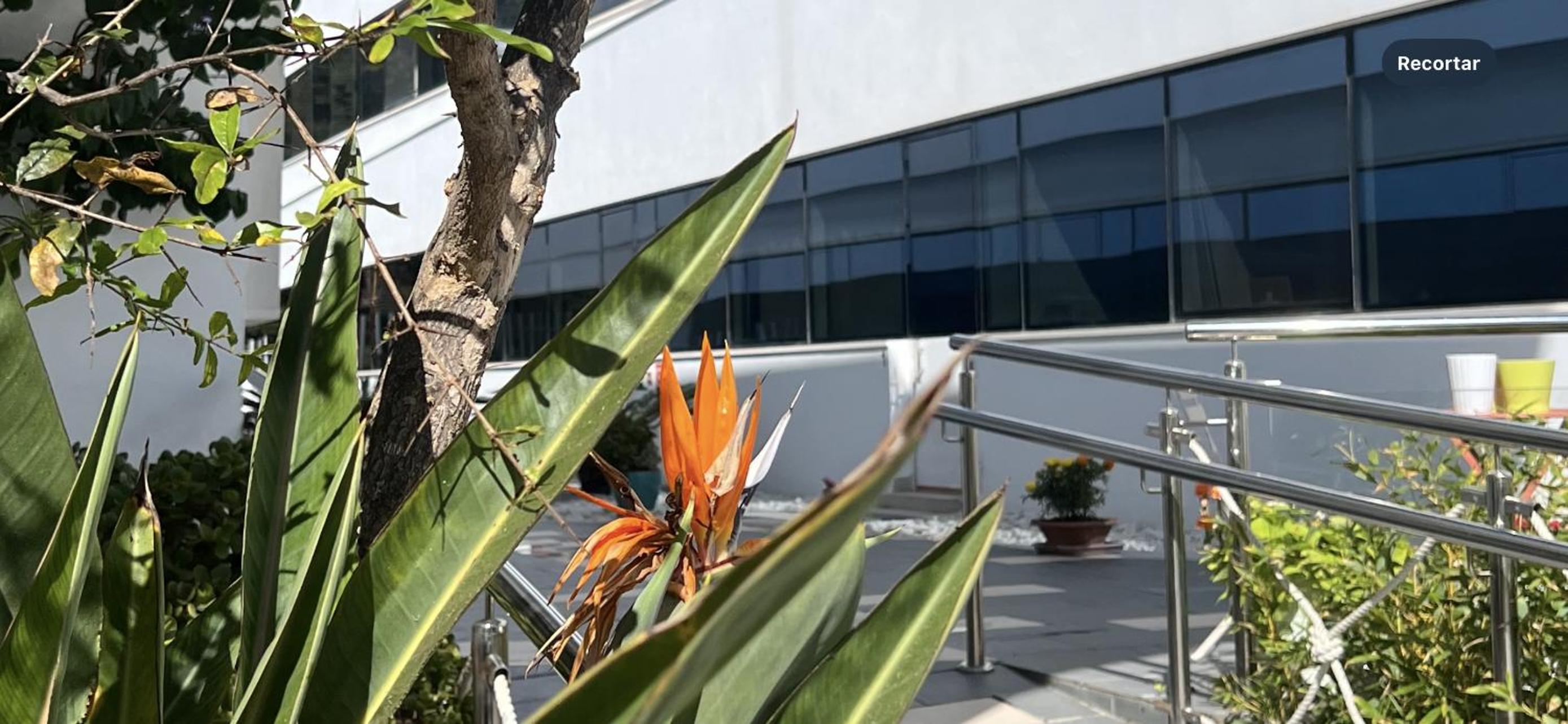 Ancla Real Apartamentos Loft