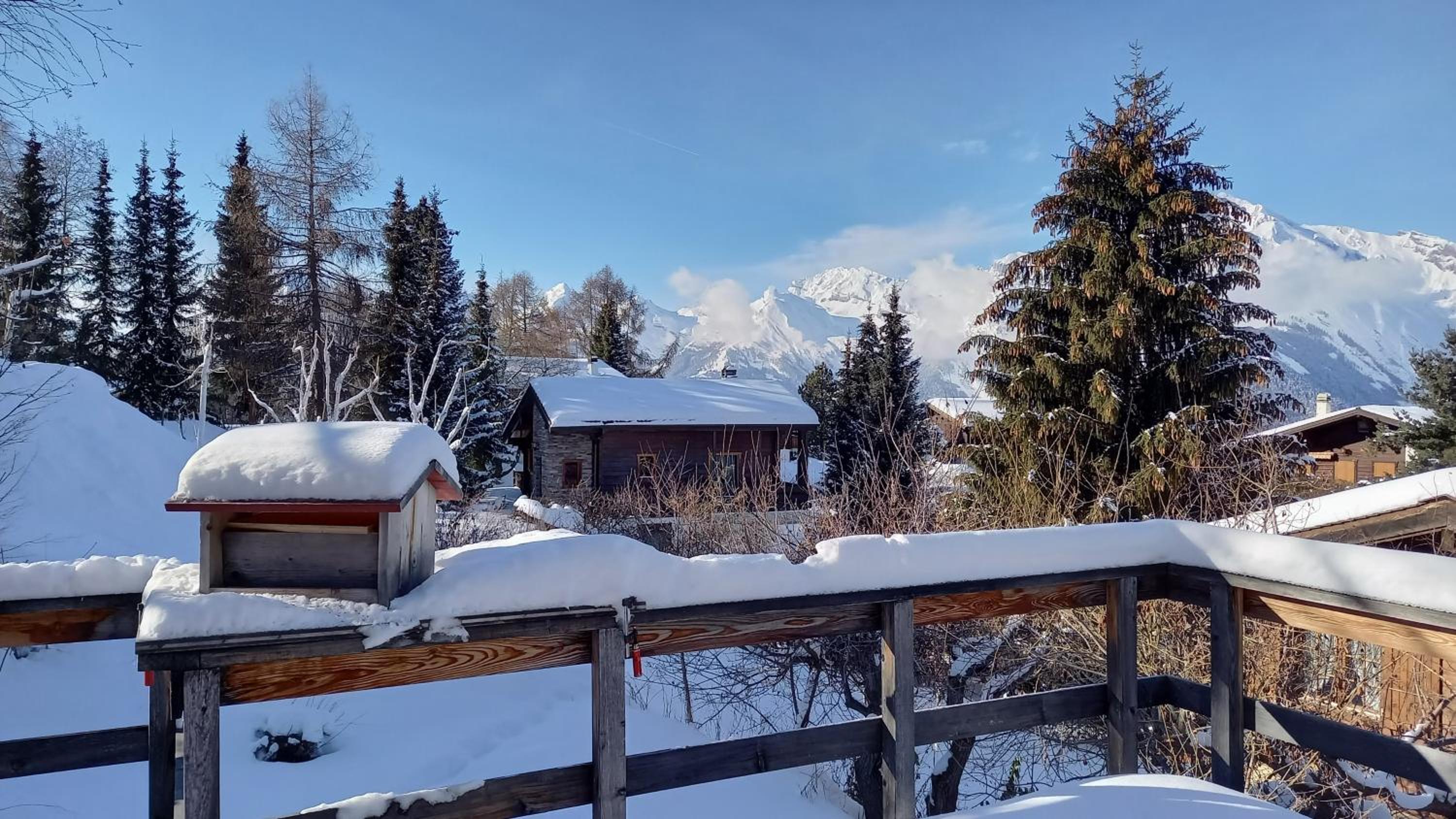 Chalet AS des Pics view 4