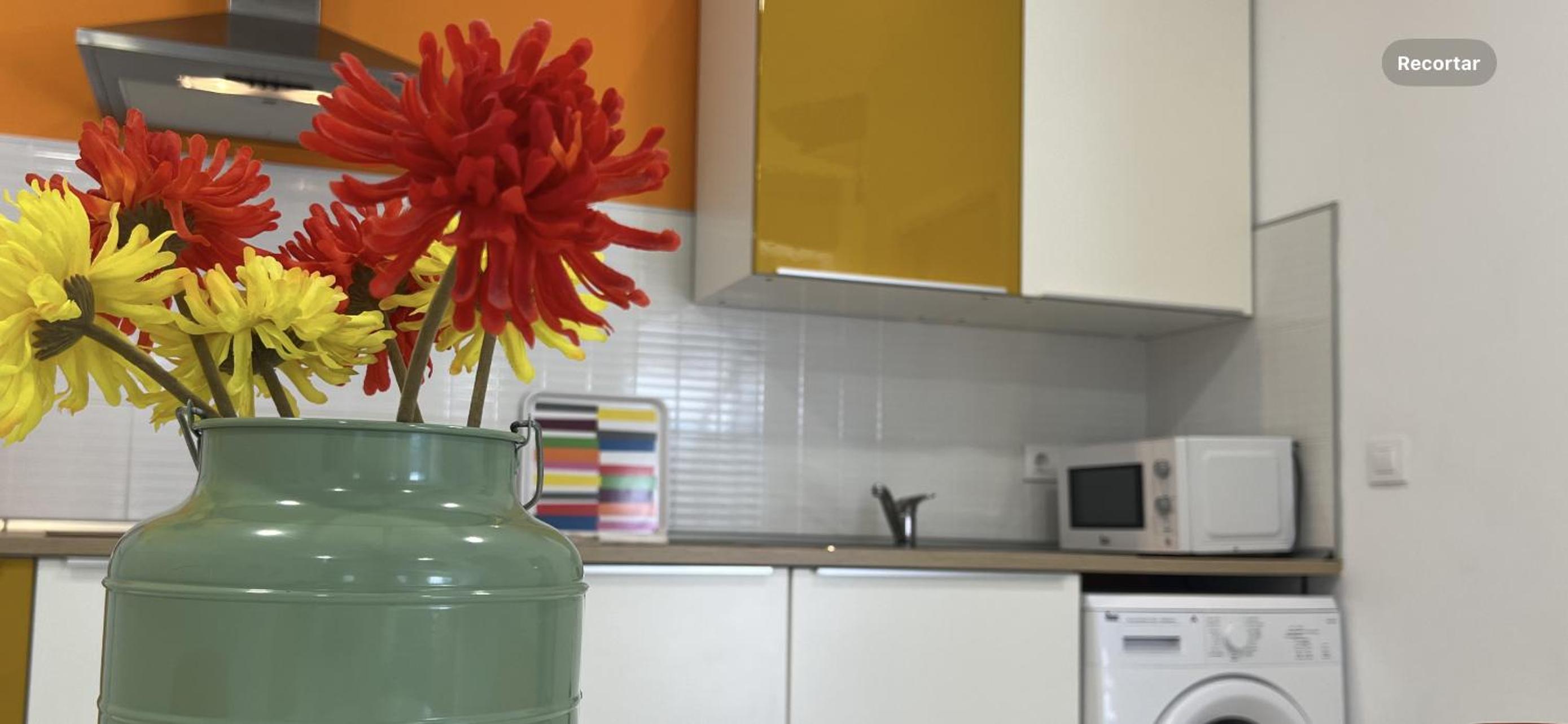 Ancla Real Apartamentos Loft