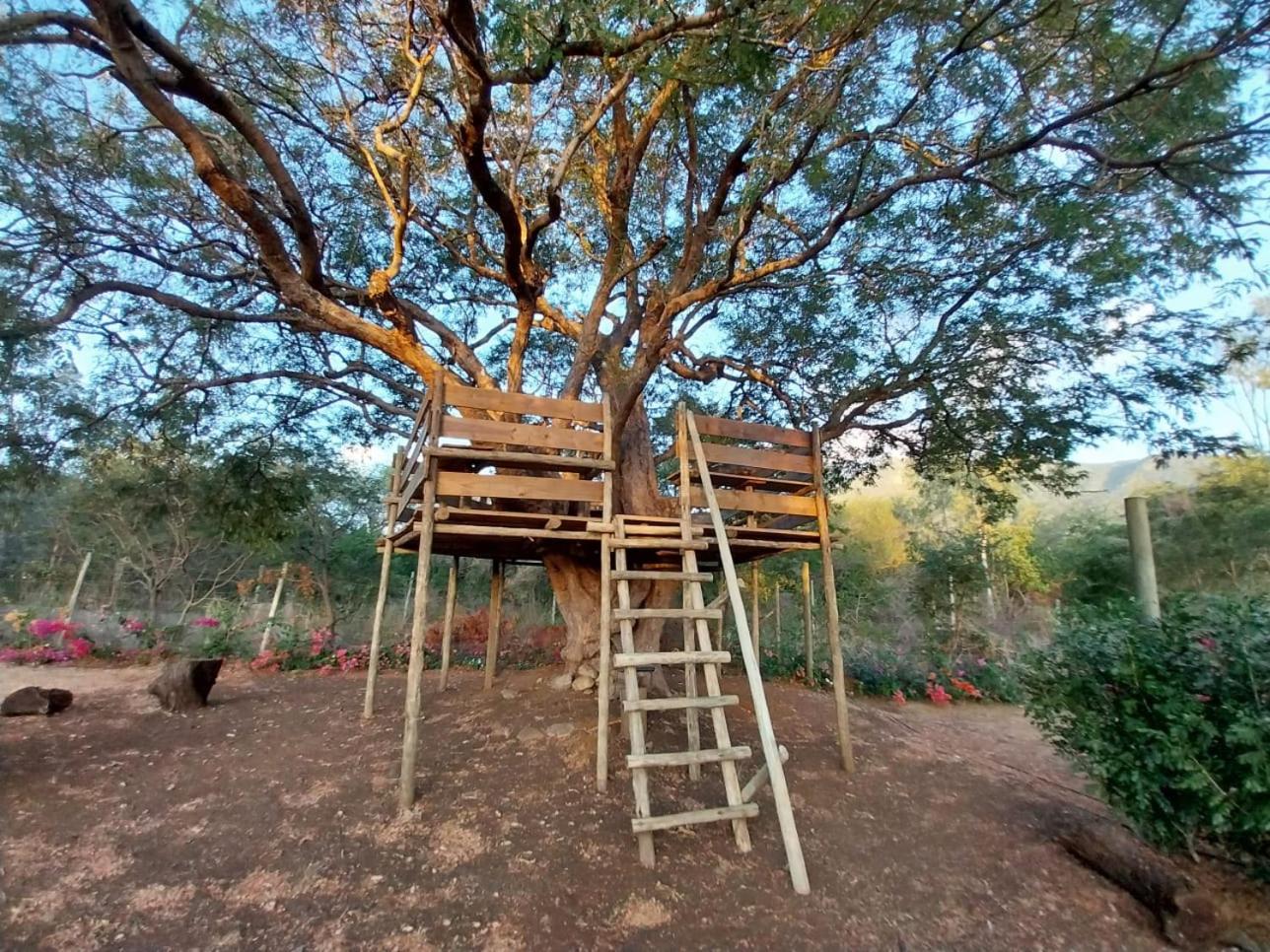 Cozy tiny house view 2