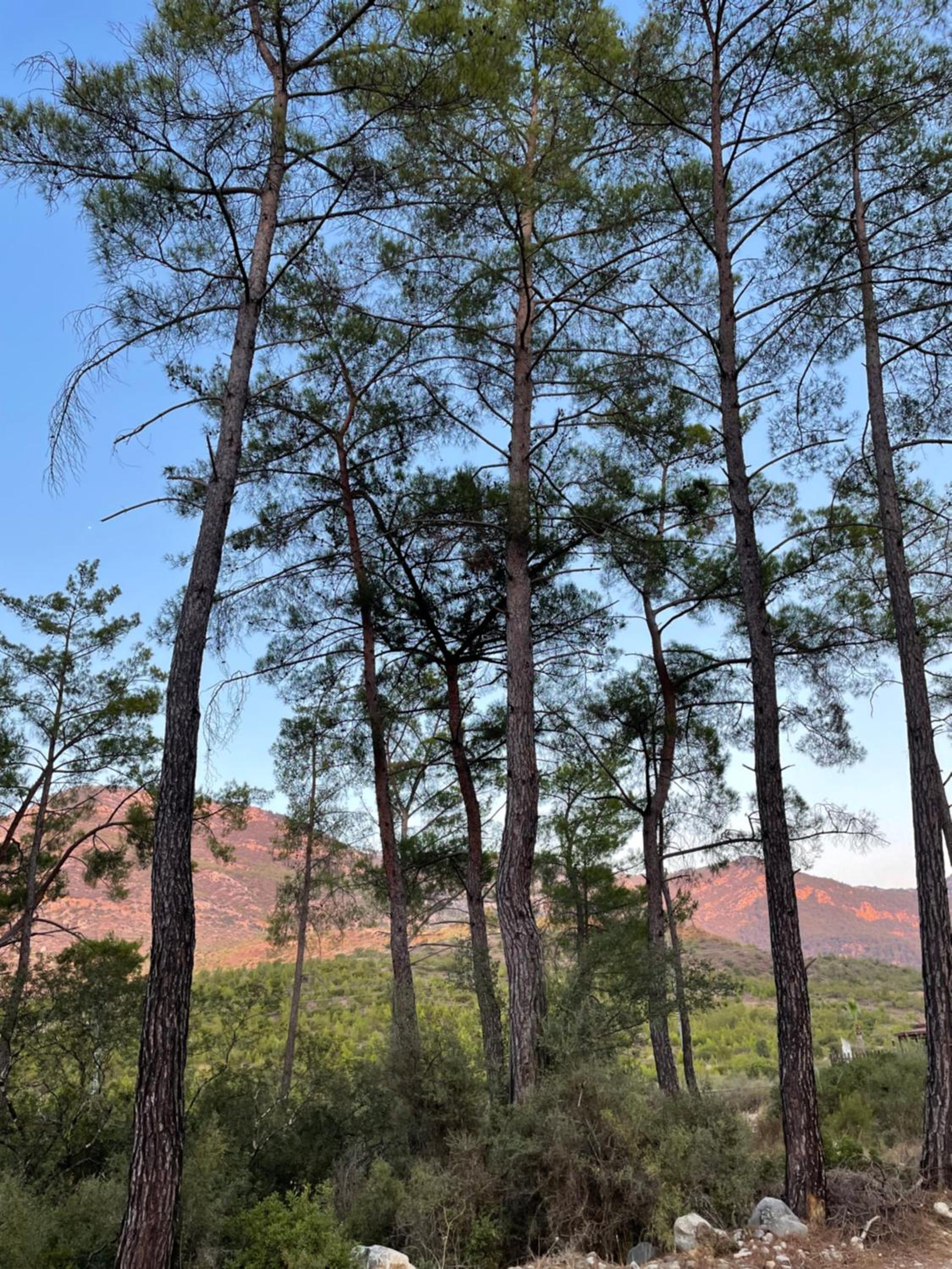 4 Camp