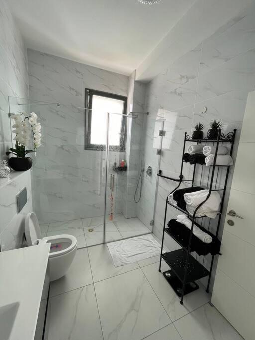 Penthouse Netanya