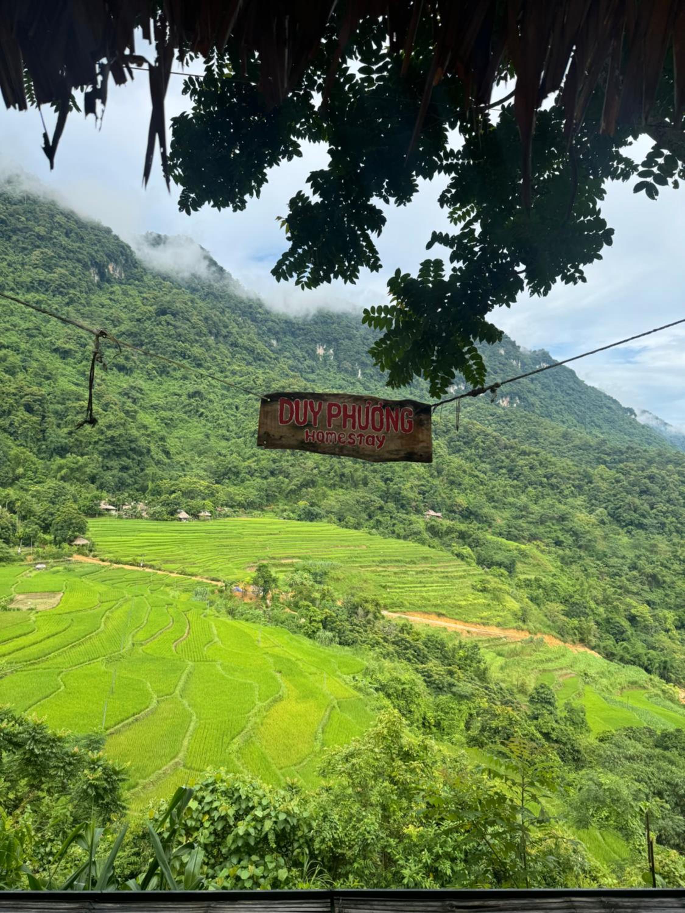 Pu Luong - Duy Phuong Homestay