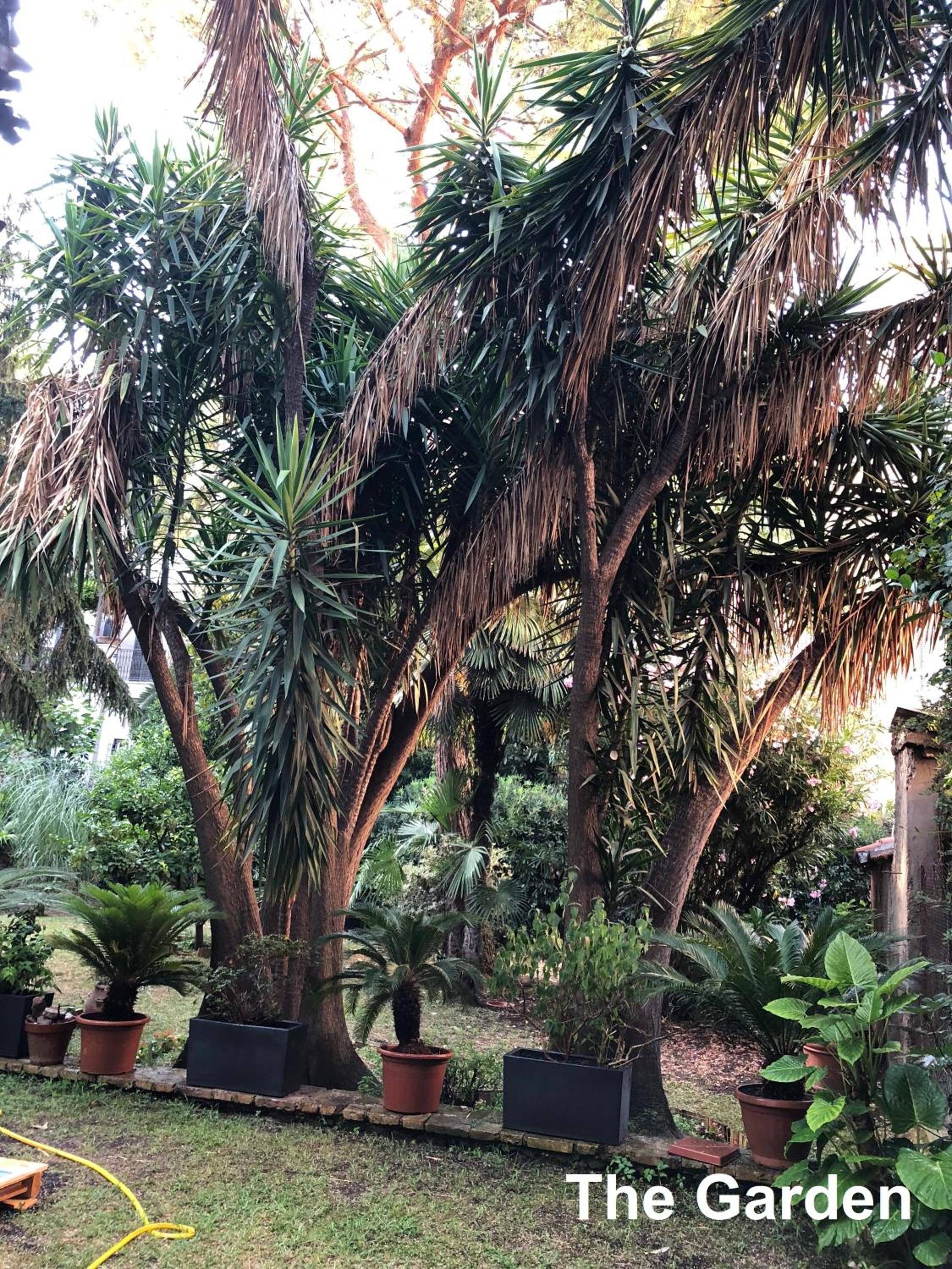 LE TRE M - Guesthouse