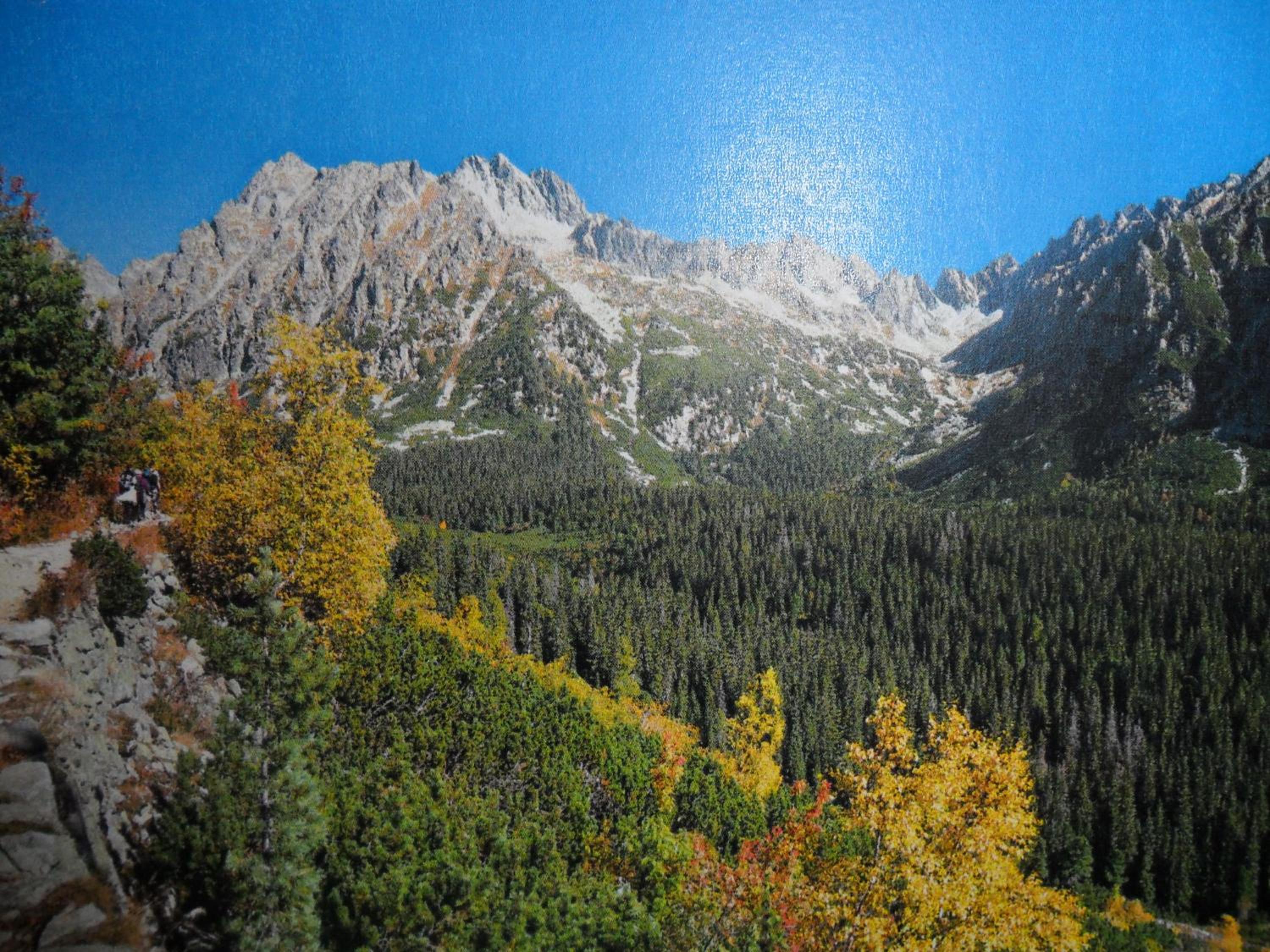 Photo 41