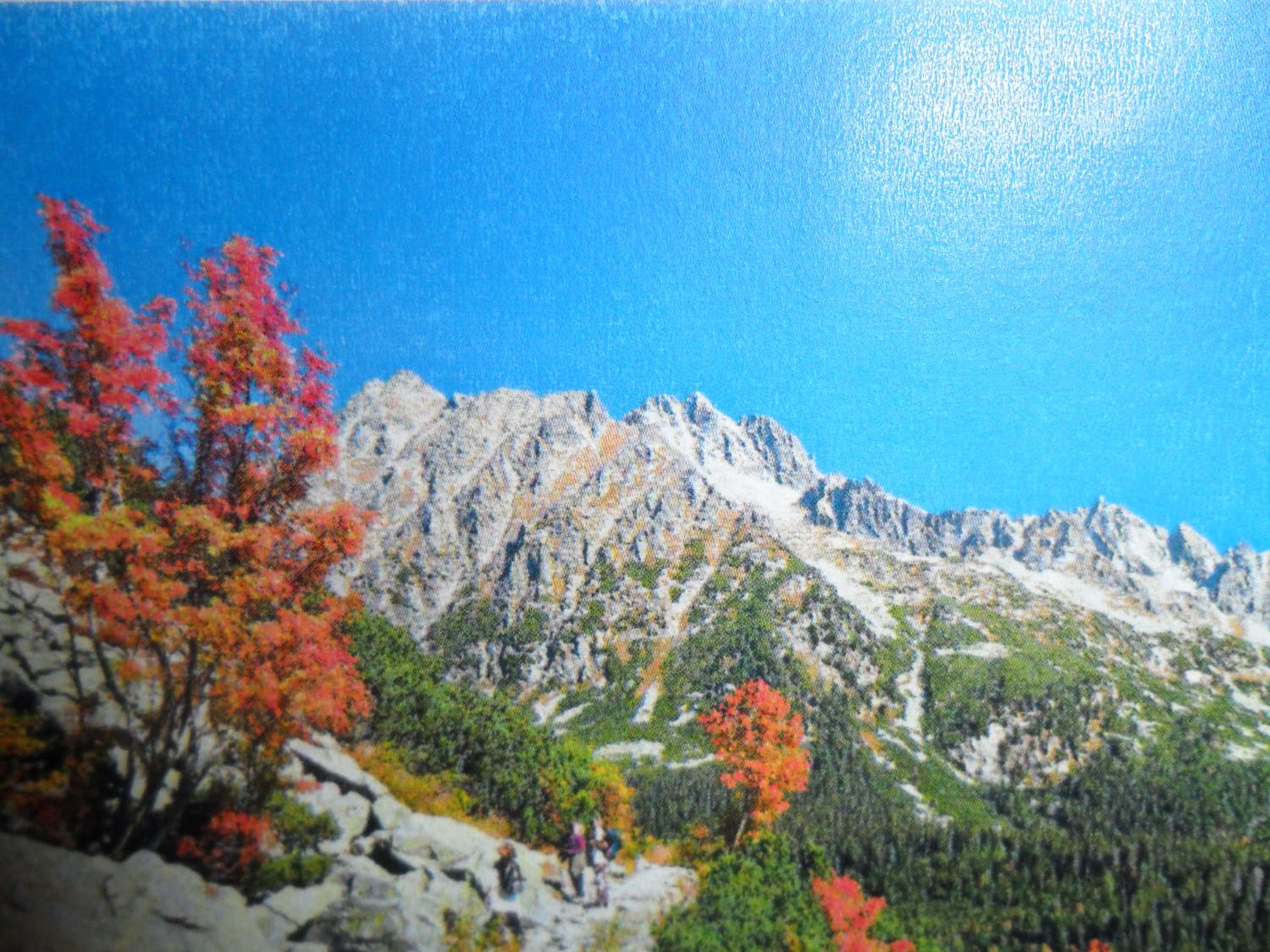 Photo 42