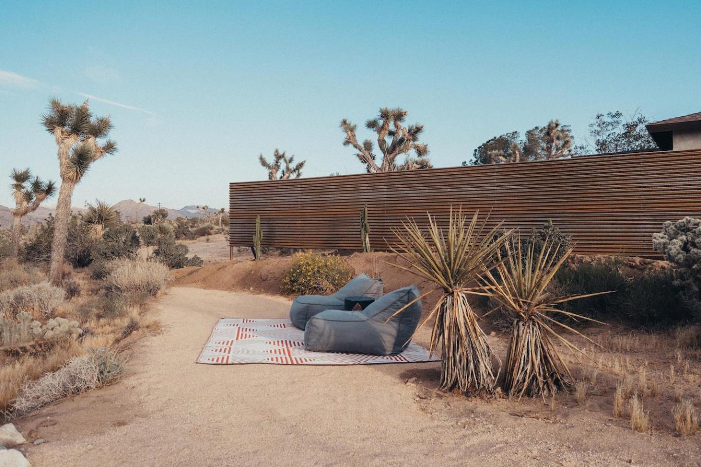 Desert Bloom By The Cohost Company view 3