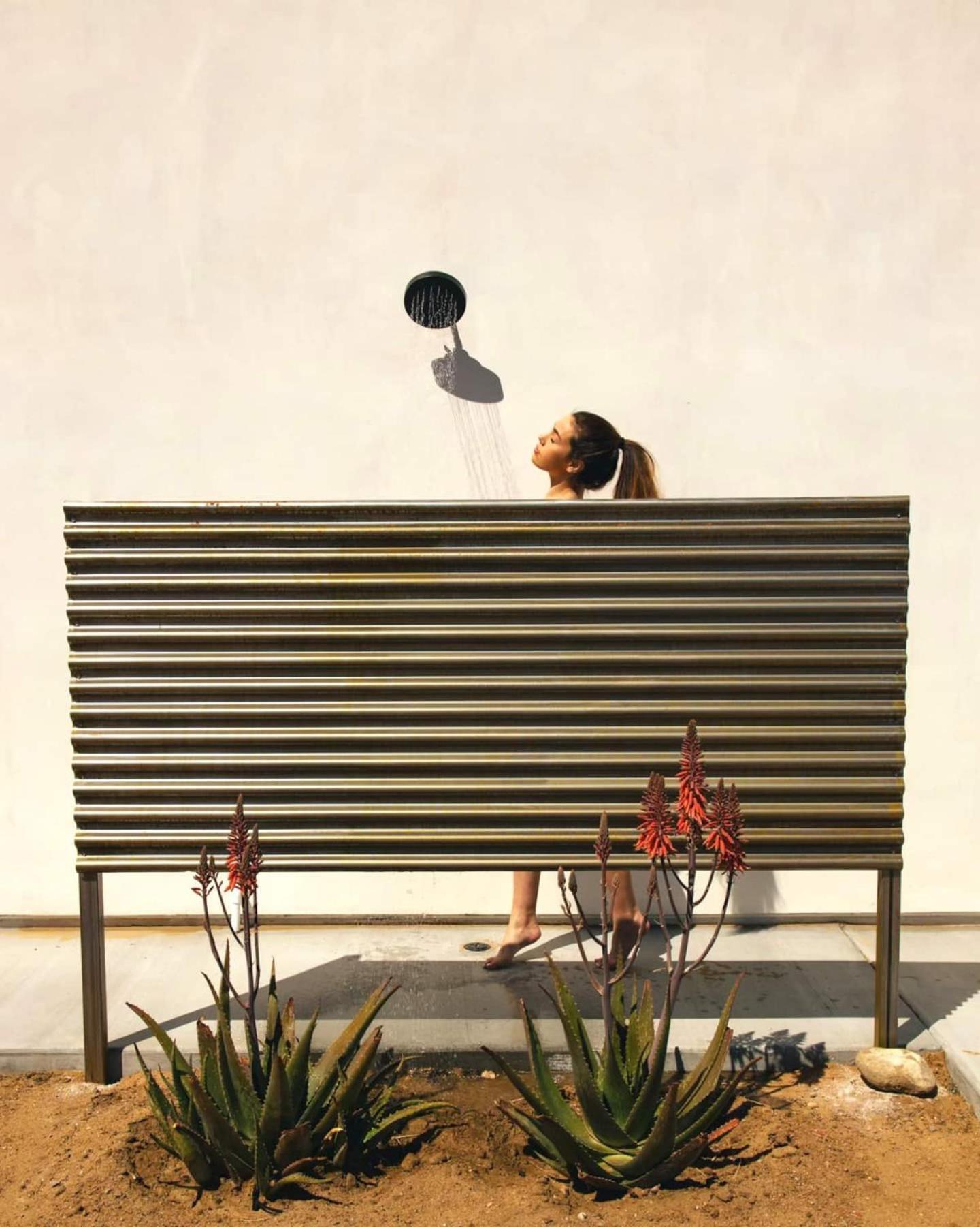 Desert Bloom By The Cohost Company view 5