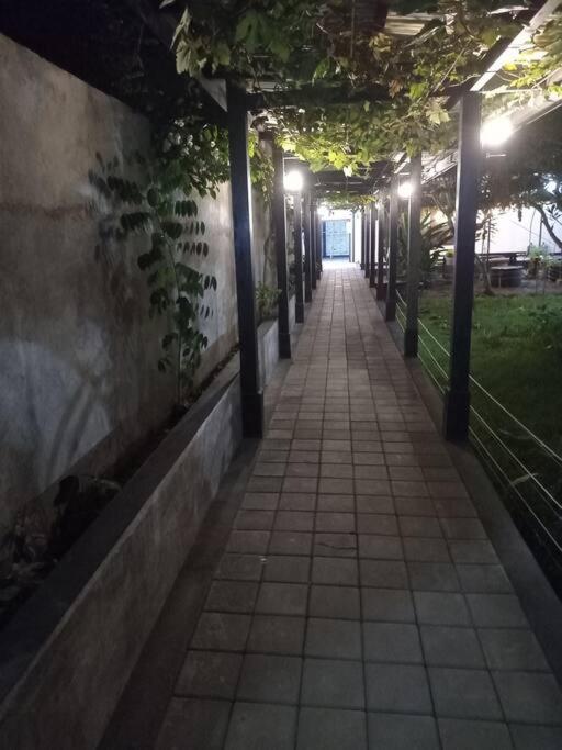 Photo 38