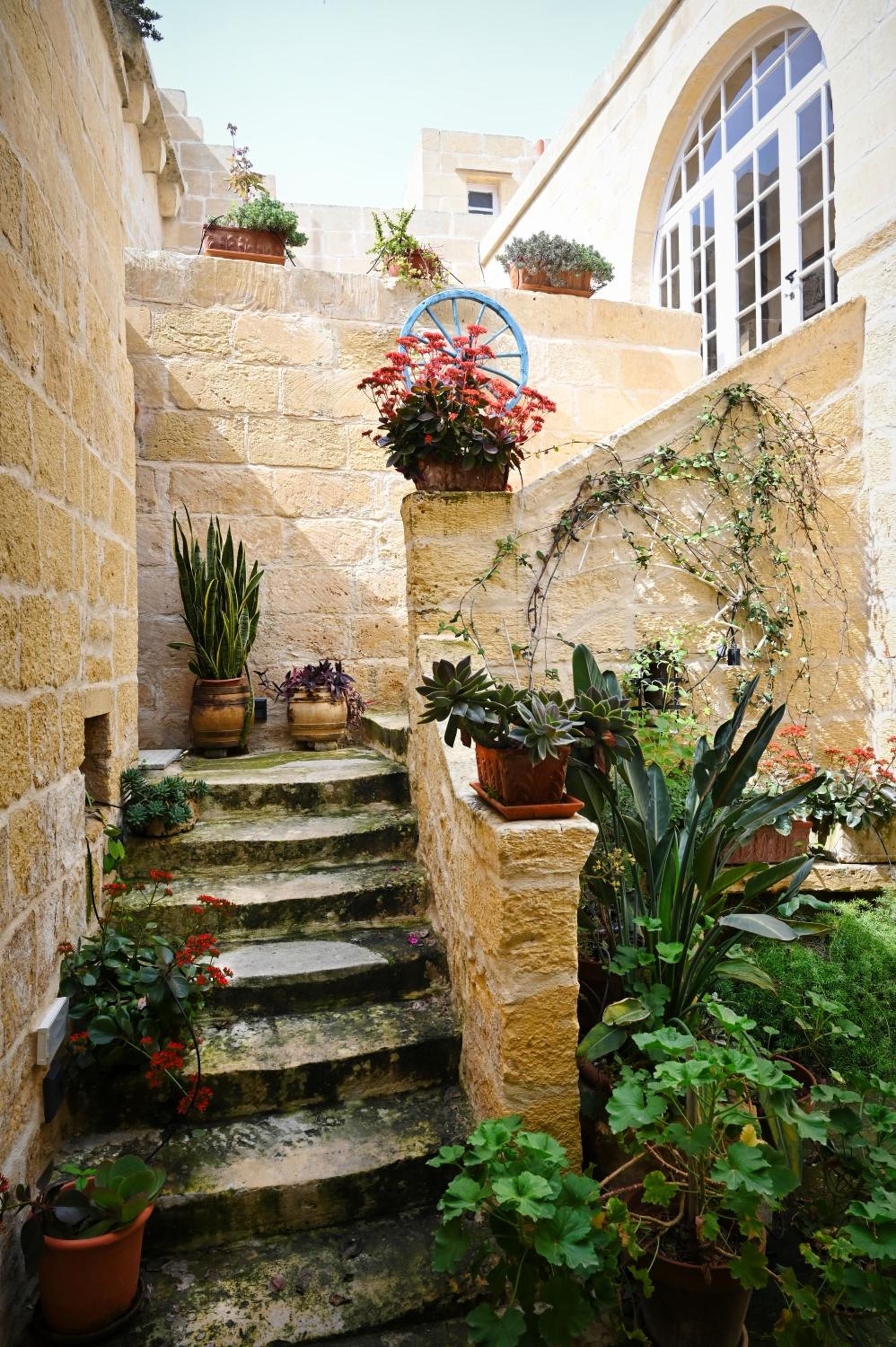 Photo 21