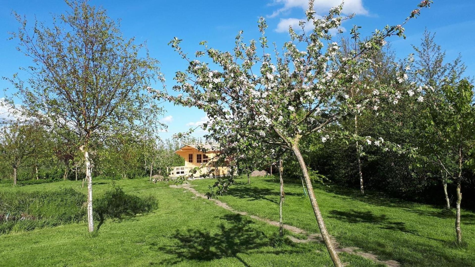Sonnige Ferienwohnung In Ländlicher Umgebung