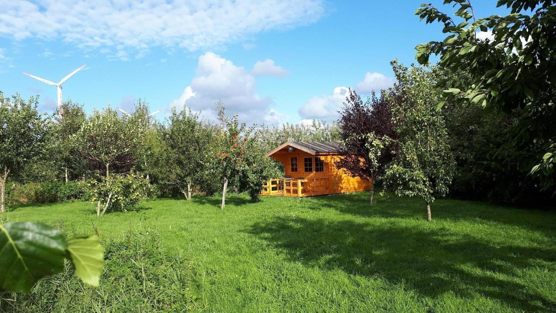 Sonnige Ferienwohnung In Ländlicher Umgebung