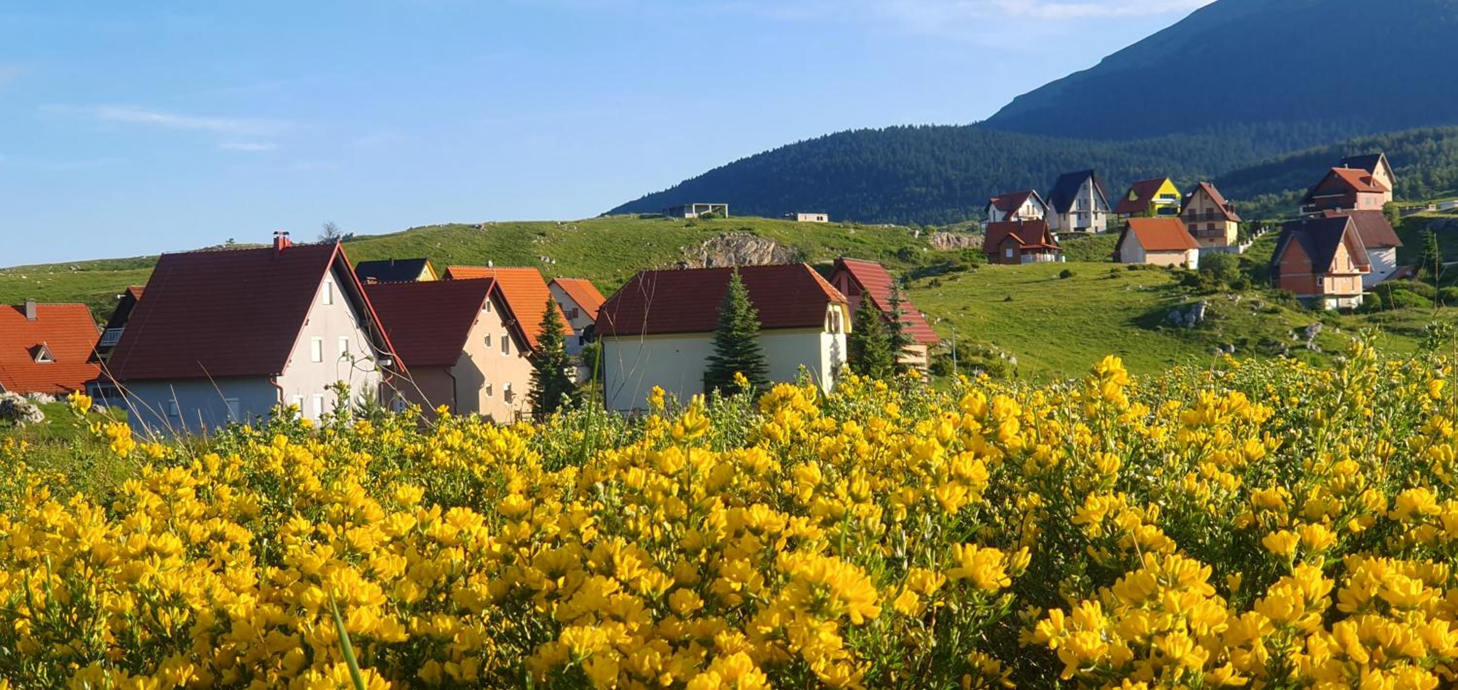 Apartman Lena