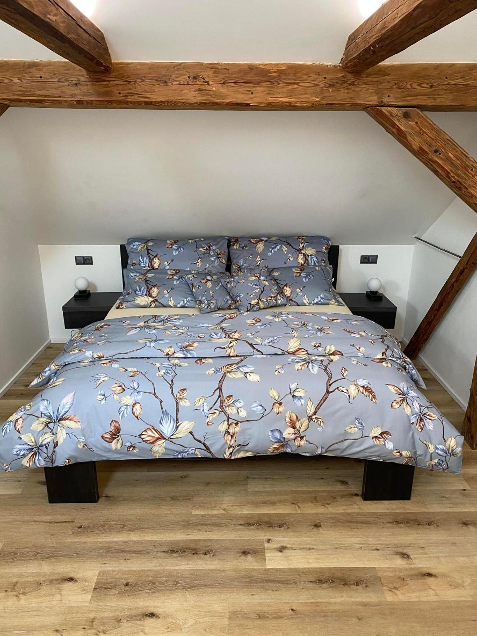 Apartmán Danuše