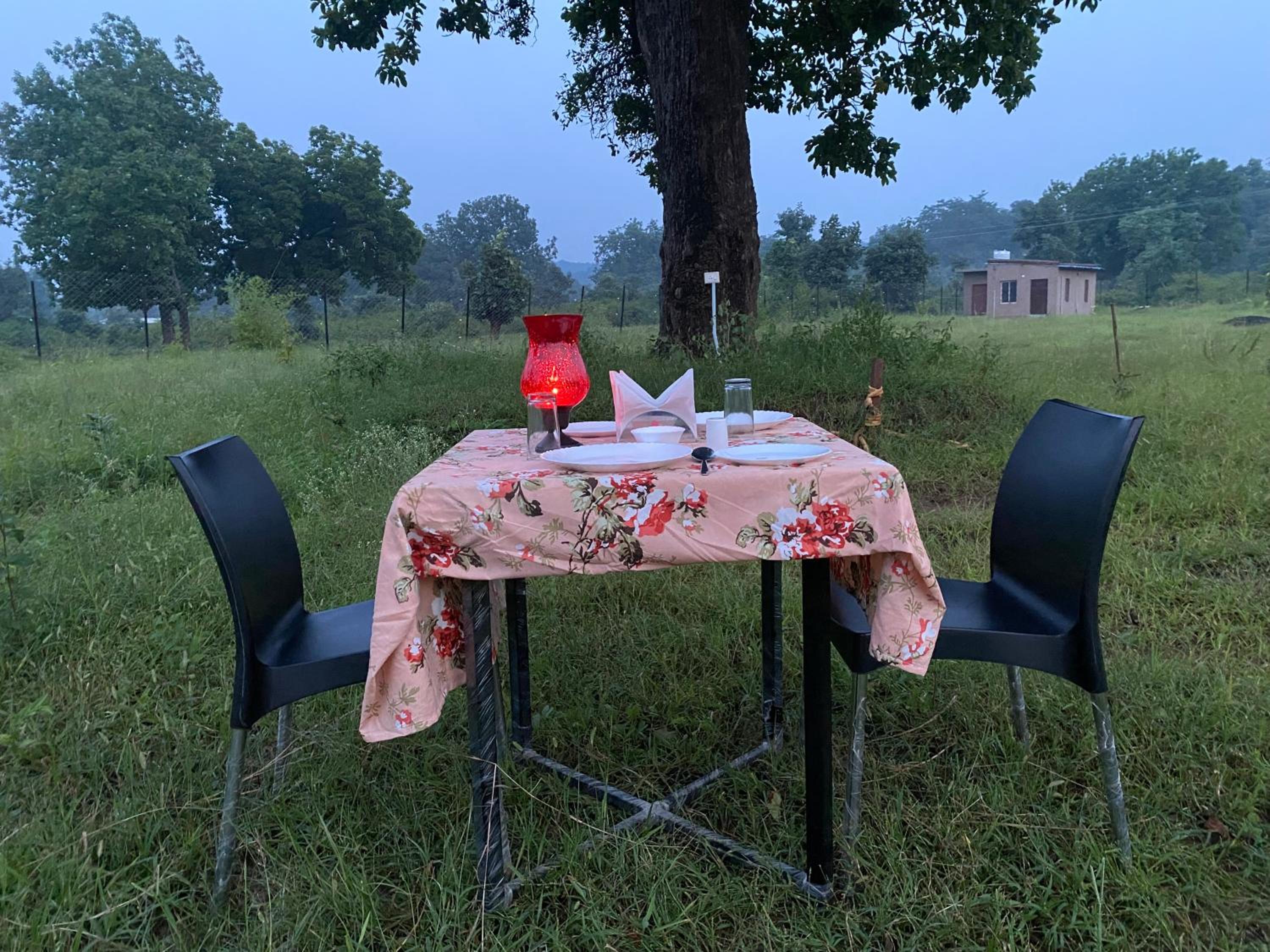 Wildlife Retreat