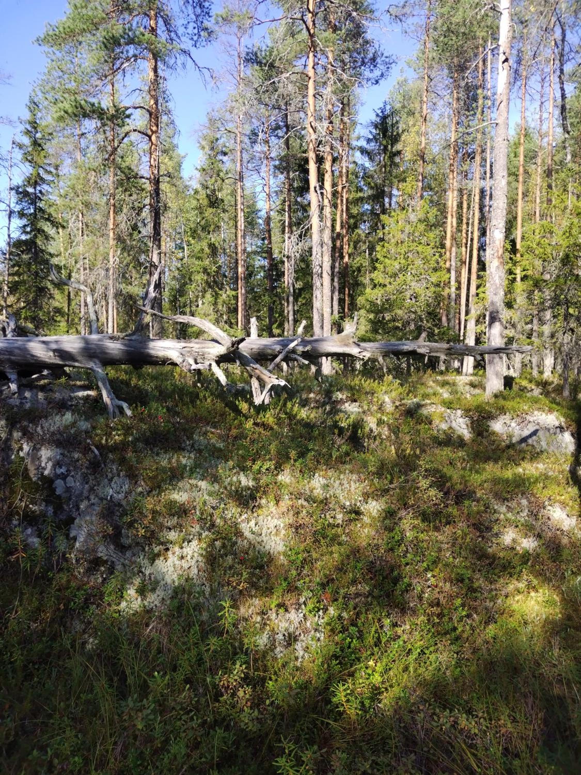 Huoneisto maaseudulla Arctic Landhaus