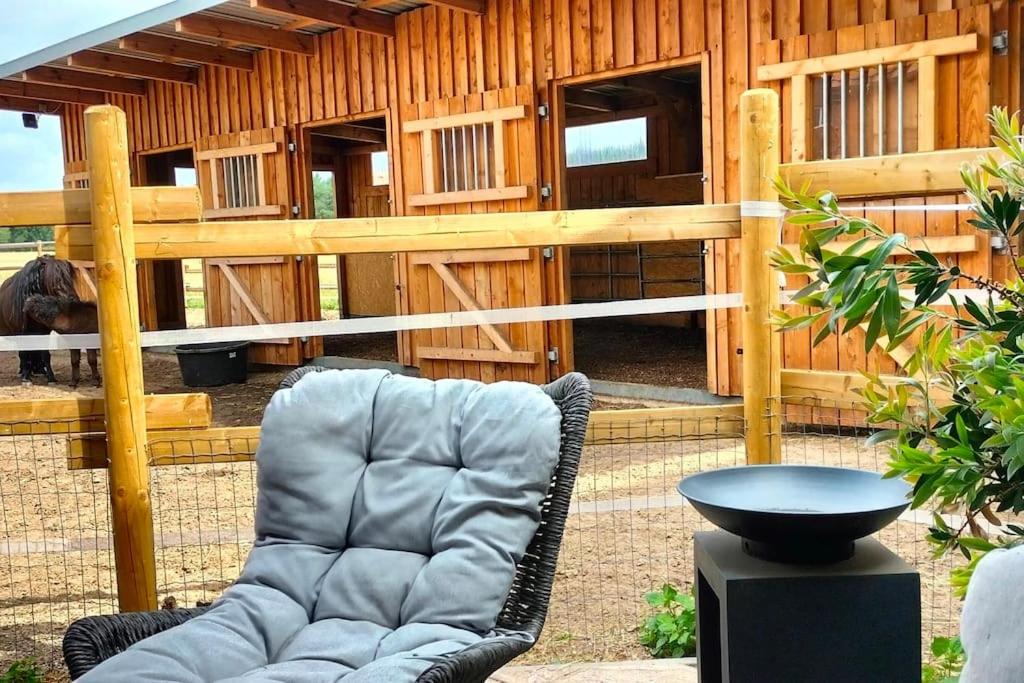 Familienfreundliche große Ferienwohnung mit Pferden, Spielplatz direkt am Haus, Sauna & viel Natur