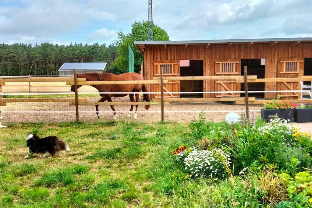 Familienfreundliche große Ferienwohnung mit Pferden, Spielplatz direkt am Haus, Sauna & viel Natur
