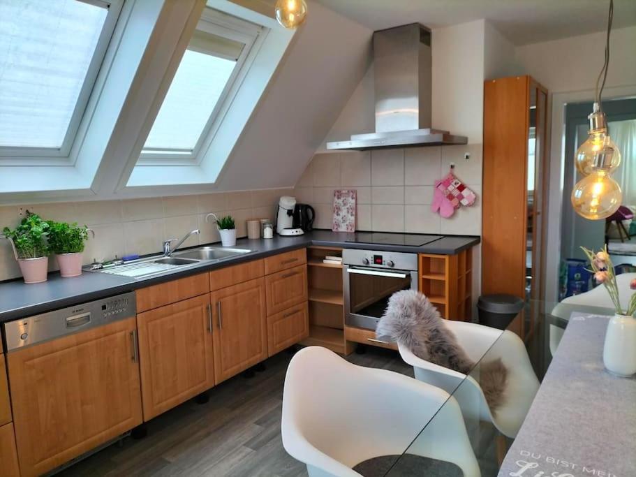 Familienfreundliche große Ferienwohnung mit Pferden, Spielplatz direkt am Haus, Sauna & viel Natur