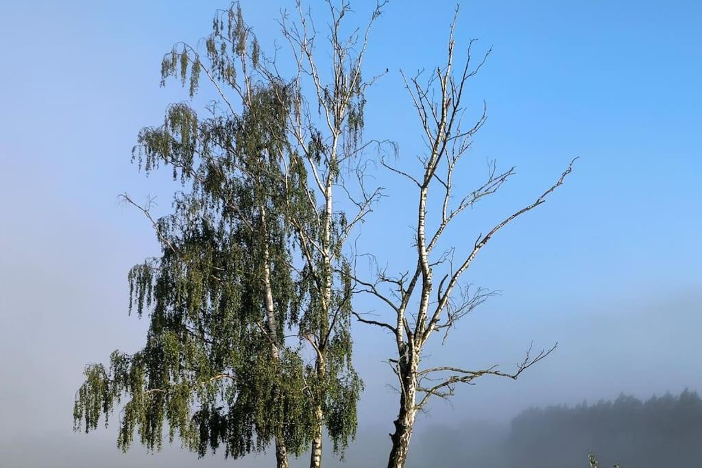 Familienfreundliche große Ferienwohnung mit Pferden, Spielplatz direkt am Haus, Sauna & viel Natur