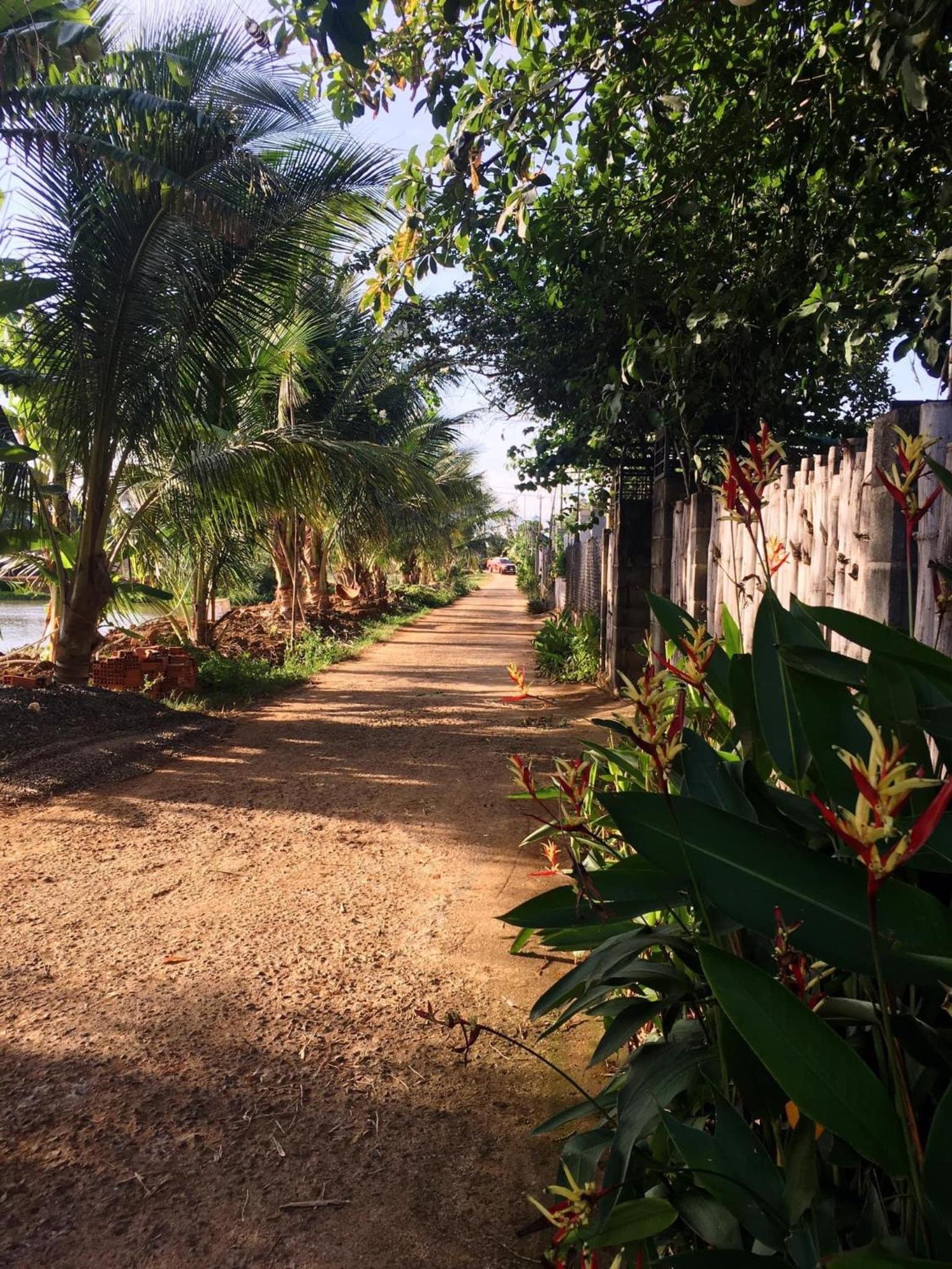 Buon'S garden
