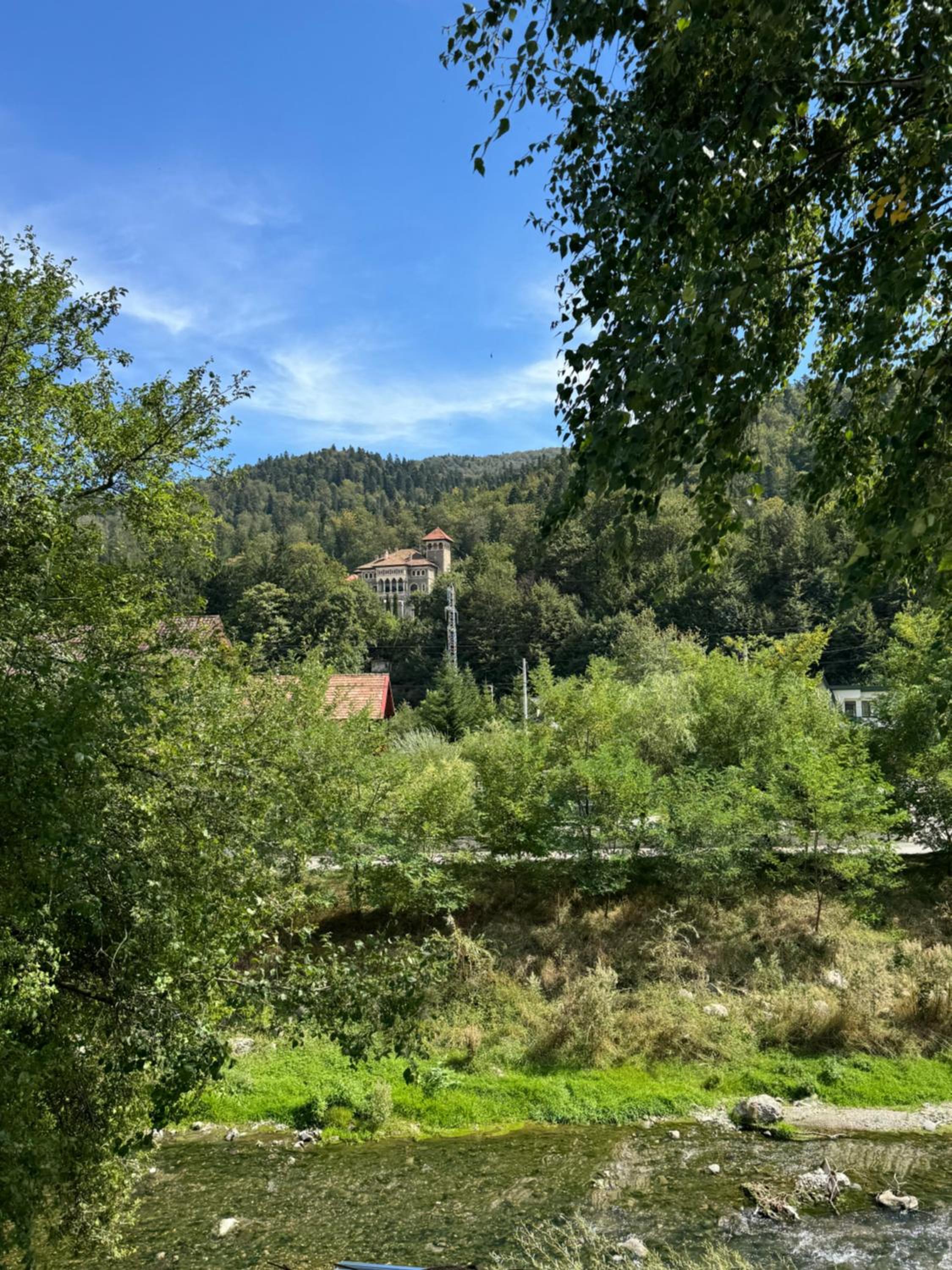 Photo 29
