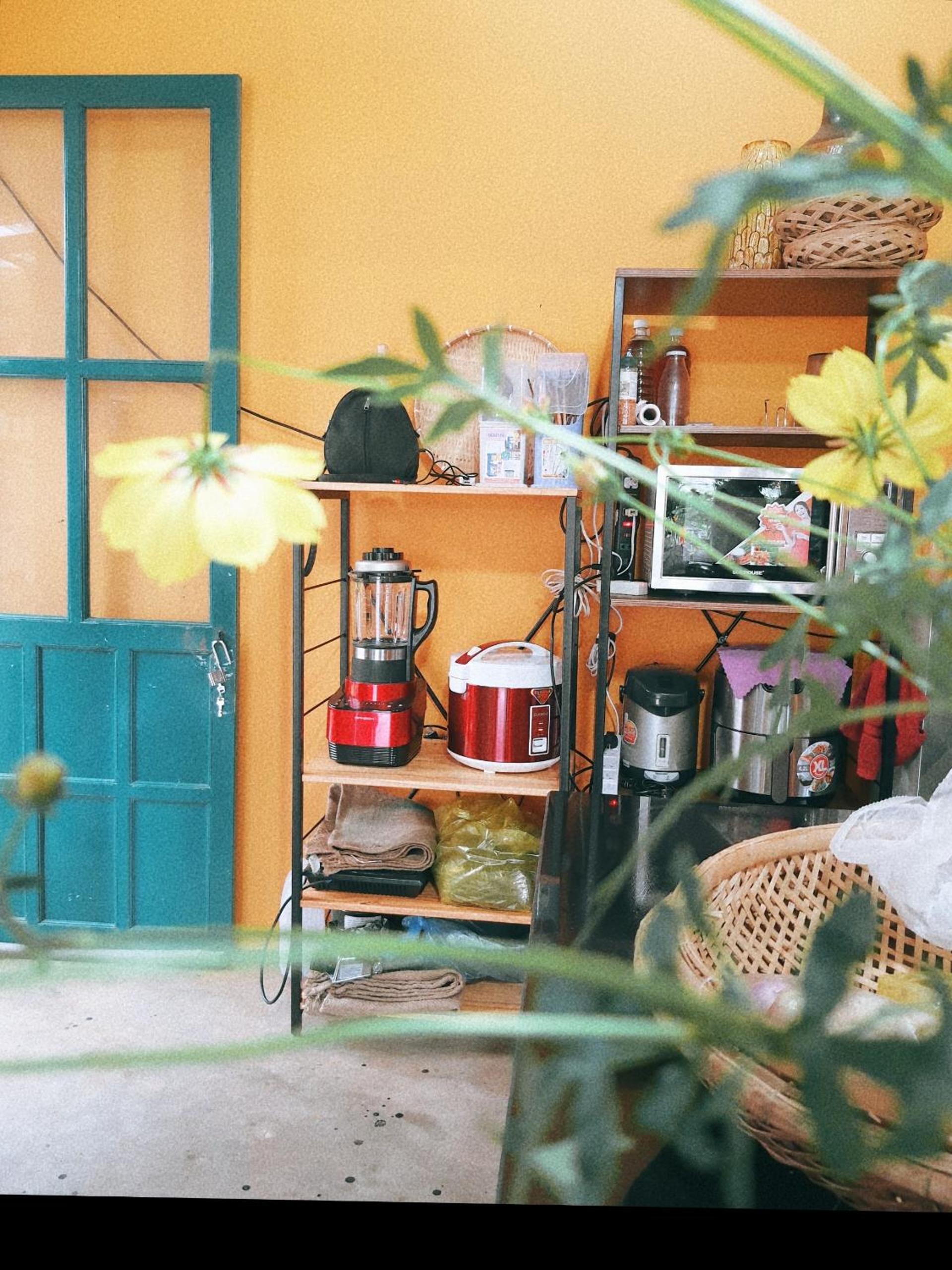 Buon'S garden